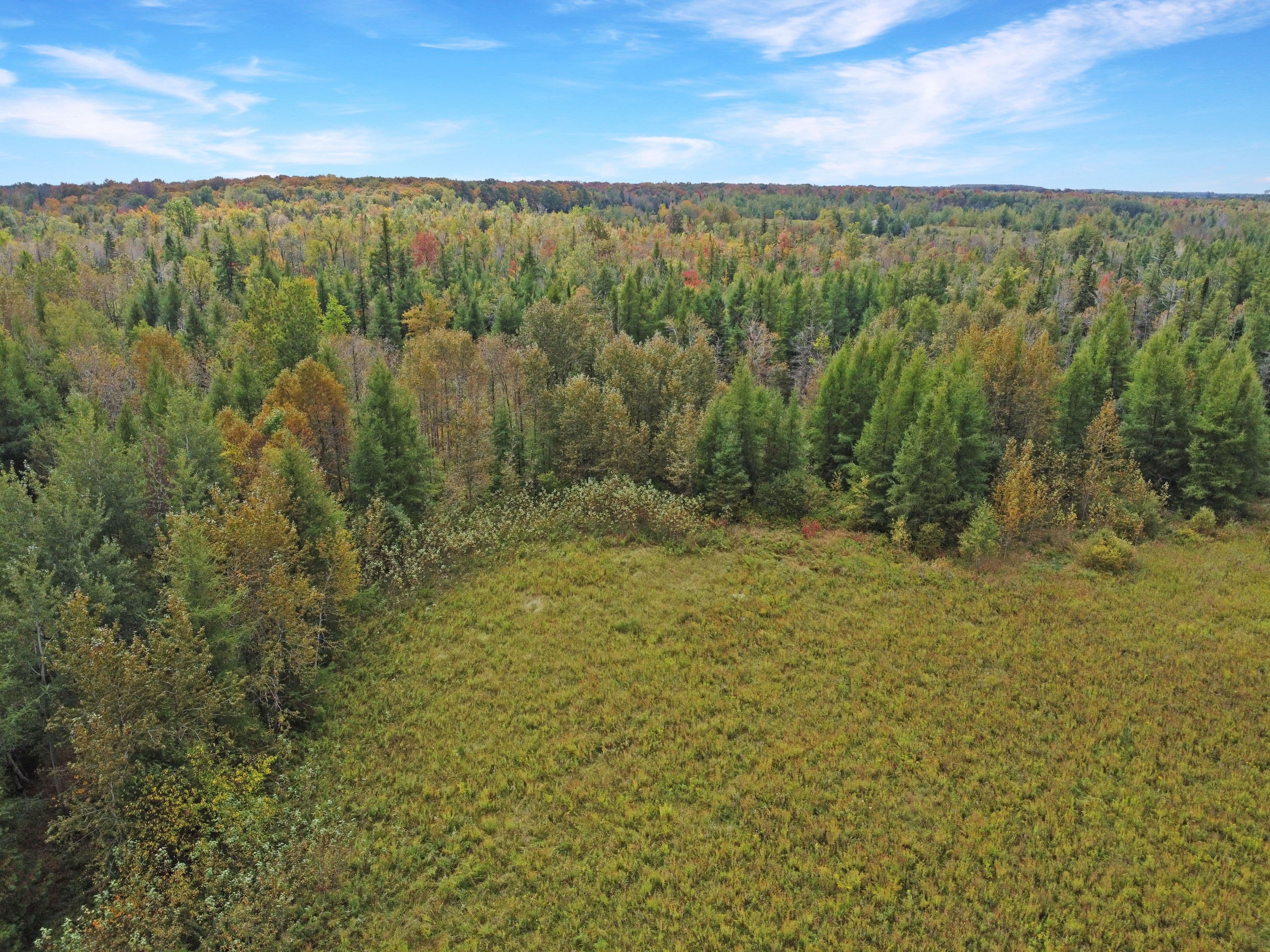 1125XX GREY ROAD 14 Road, Southgate, ON N0C 1B0