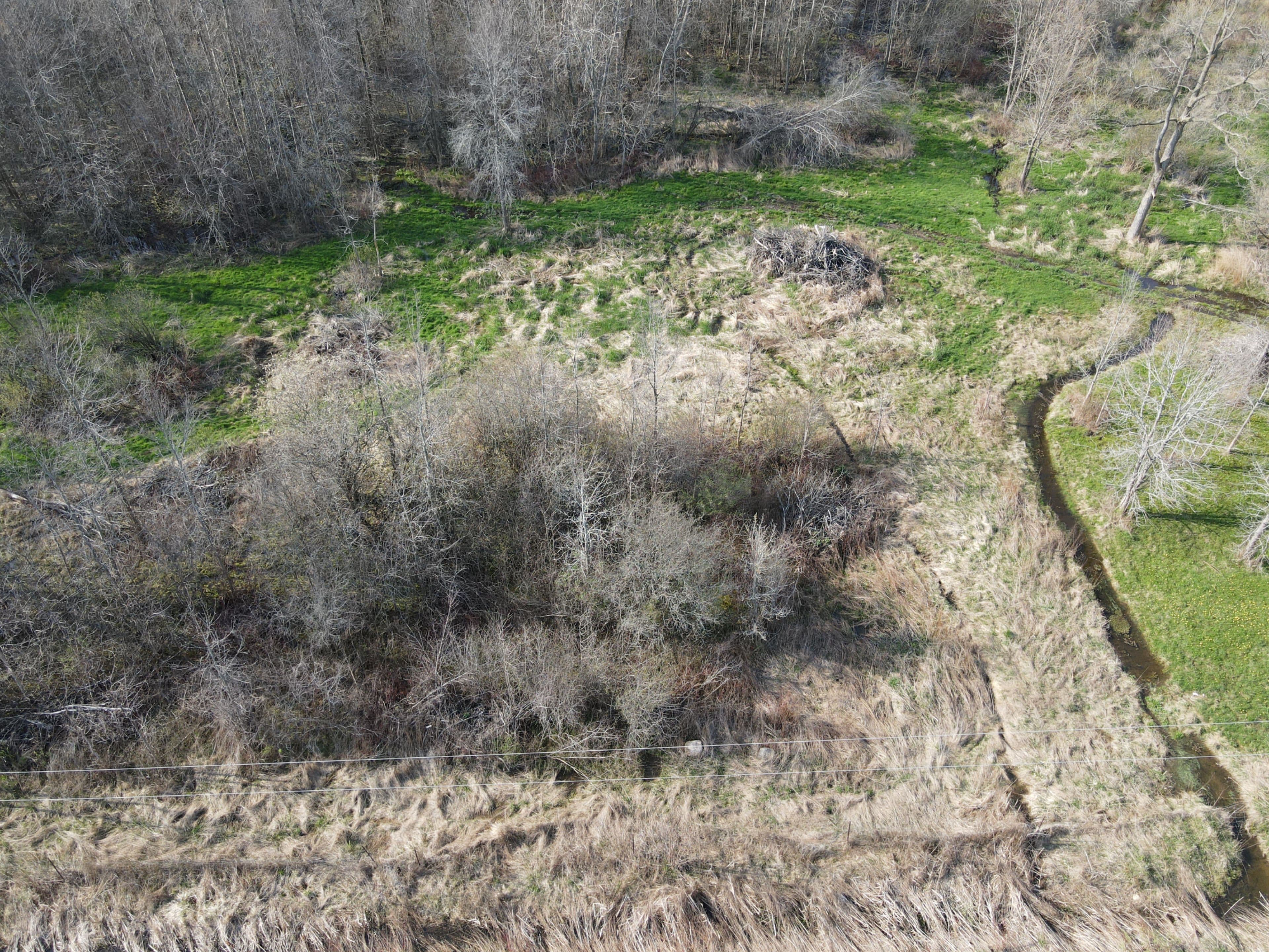 0 Concession 2 Road, Brock, ON L0K 1A0