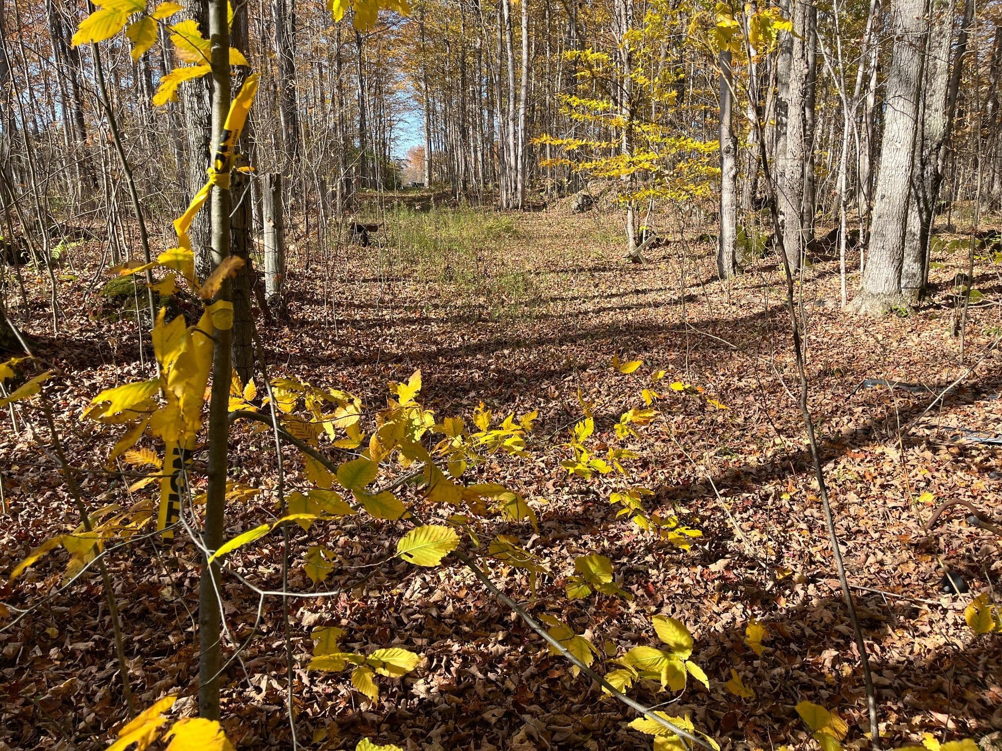 Part Lot 17 Grey Road 17 Road E, Georgian Bluffs, ON N0H 2T0