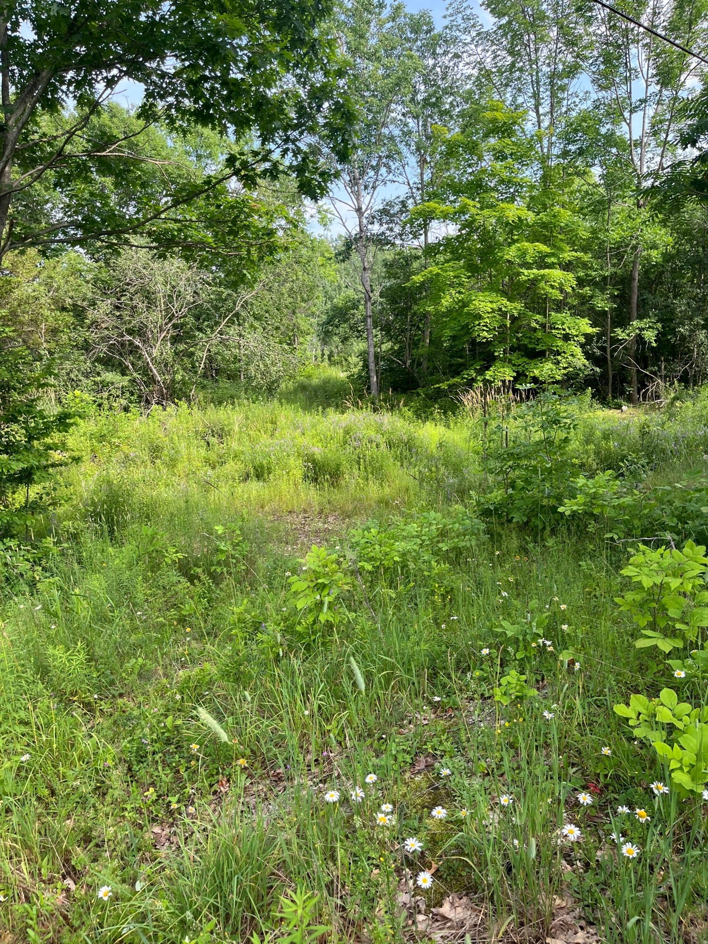 0 Pt Lt 14 Con 3 N/A, Rideau Lakes, ON K0G 1X0