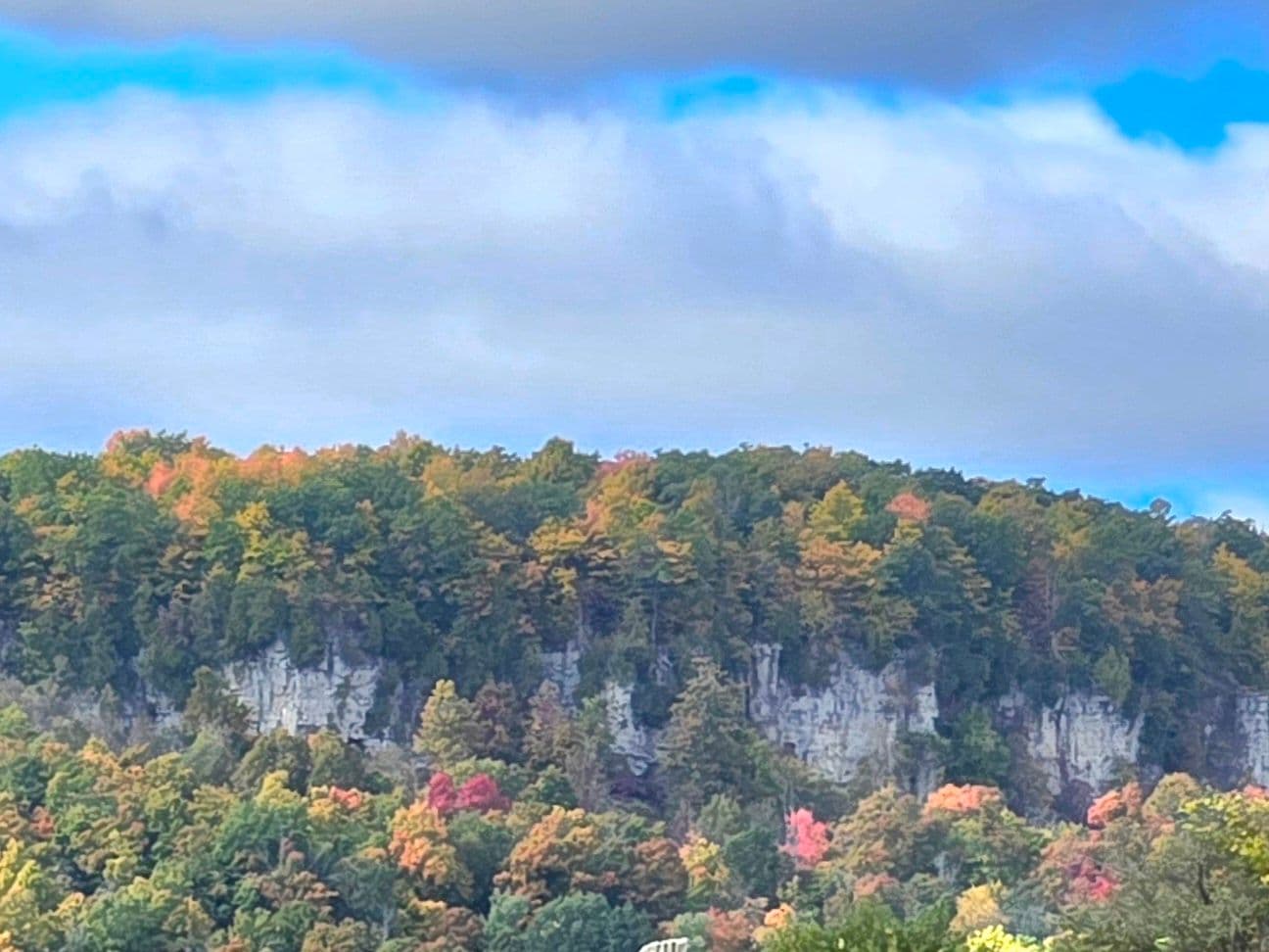 4197 Walkers Line, Burlington, ON L7M 0Y7