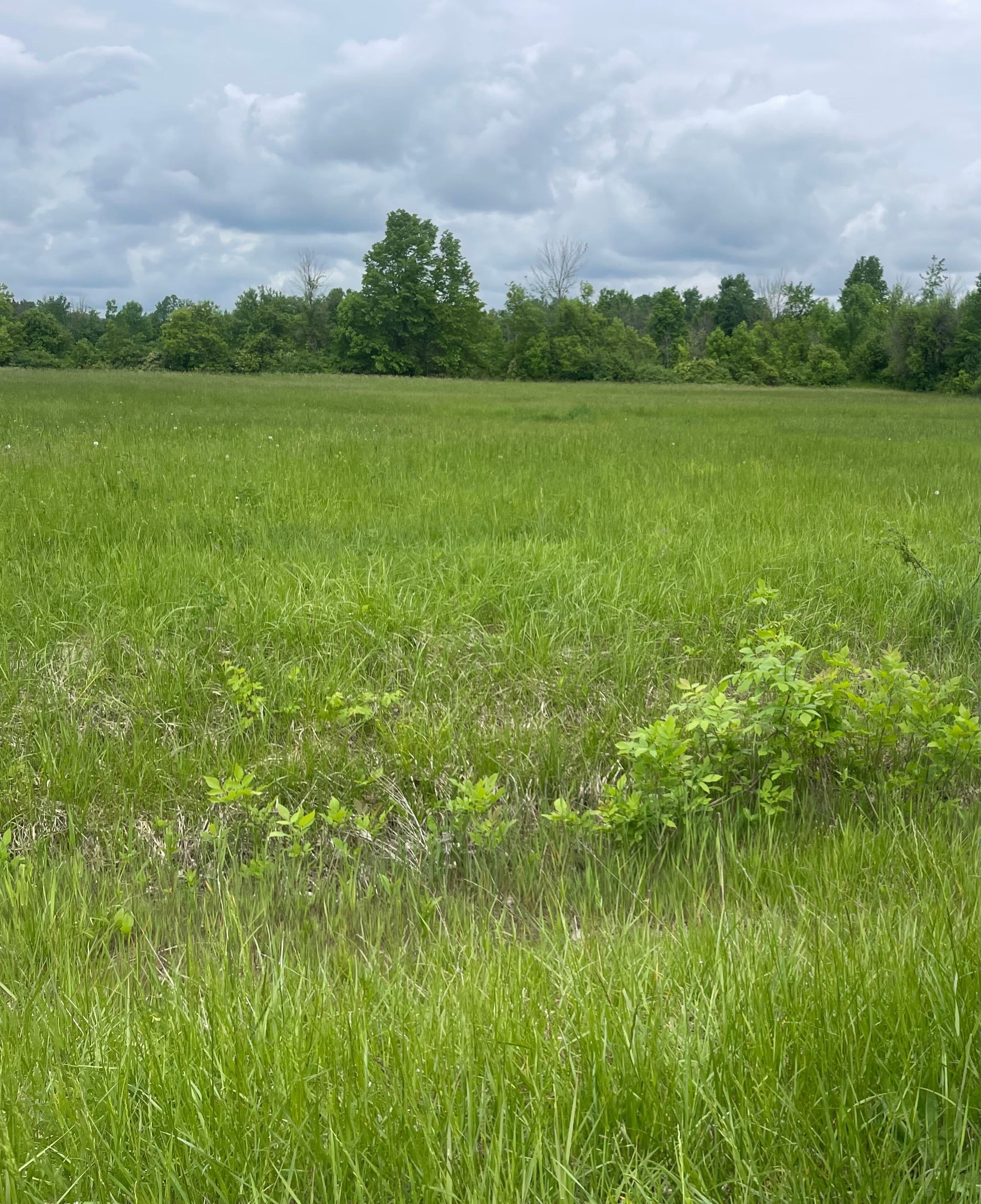 3447 Donnelly Drive, Manotick - Kars - Rideau Twp and Area, ON K0G 1J0