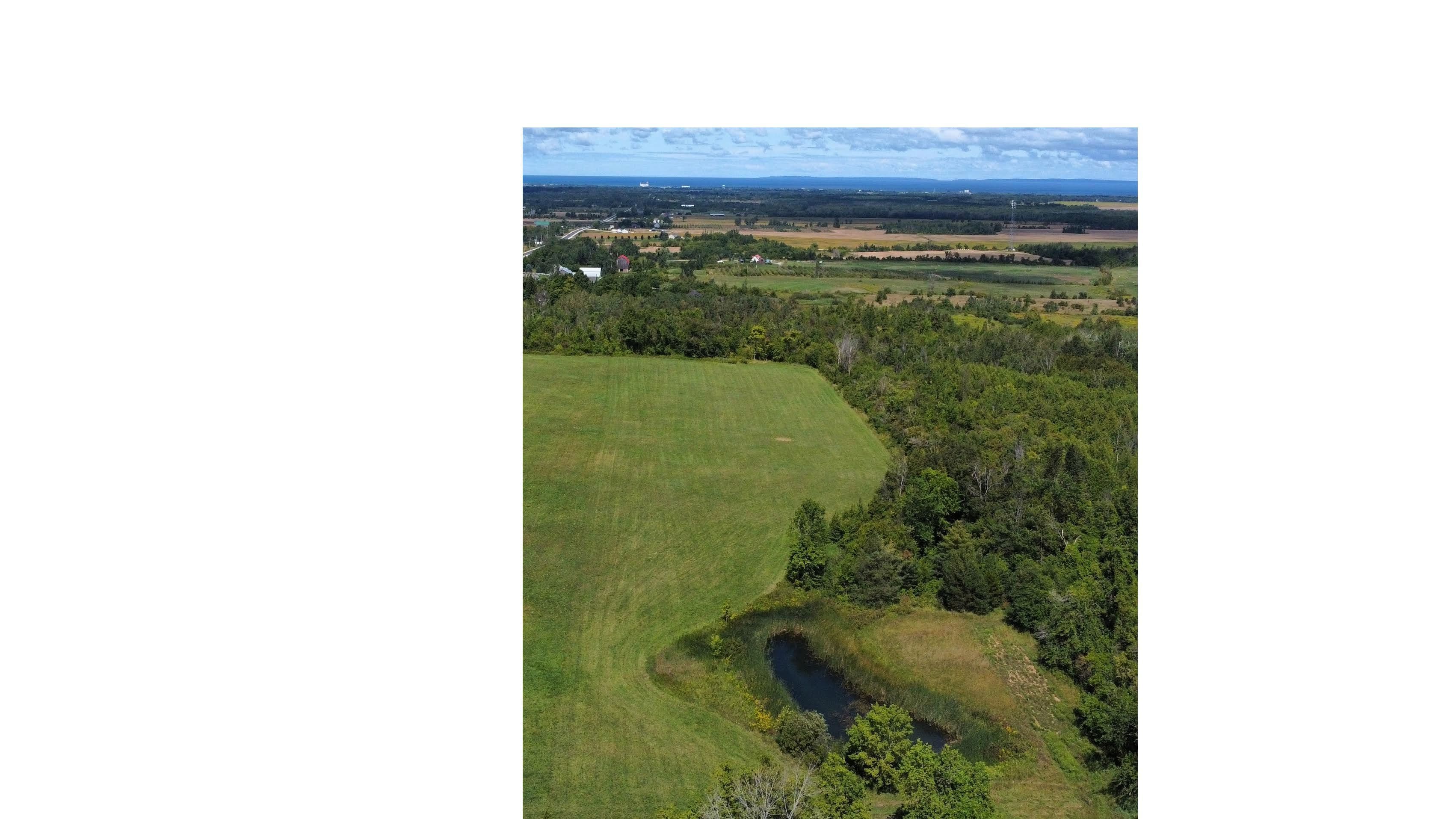 12 Sydenham Trail, Clearview, ON L0M 1H0