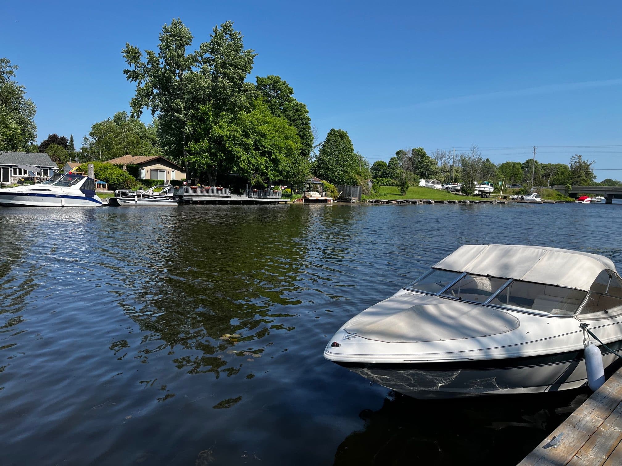 31 Villa Drive, Georgina, ON L0E 1N0