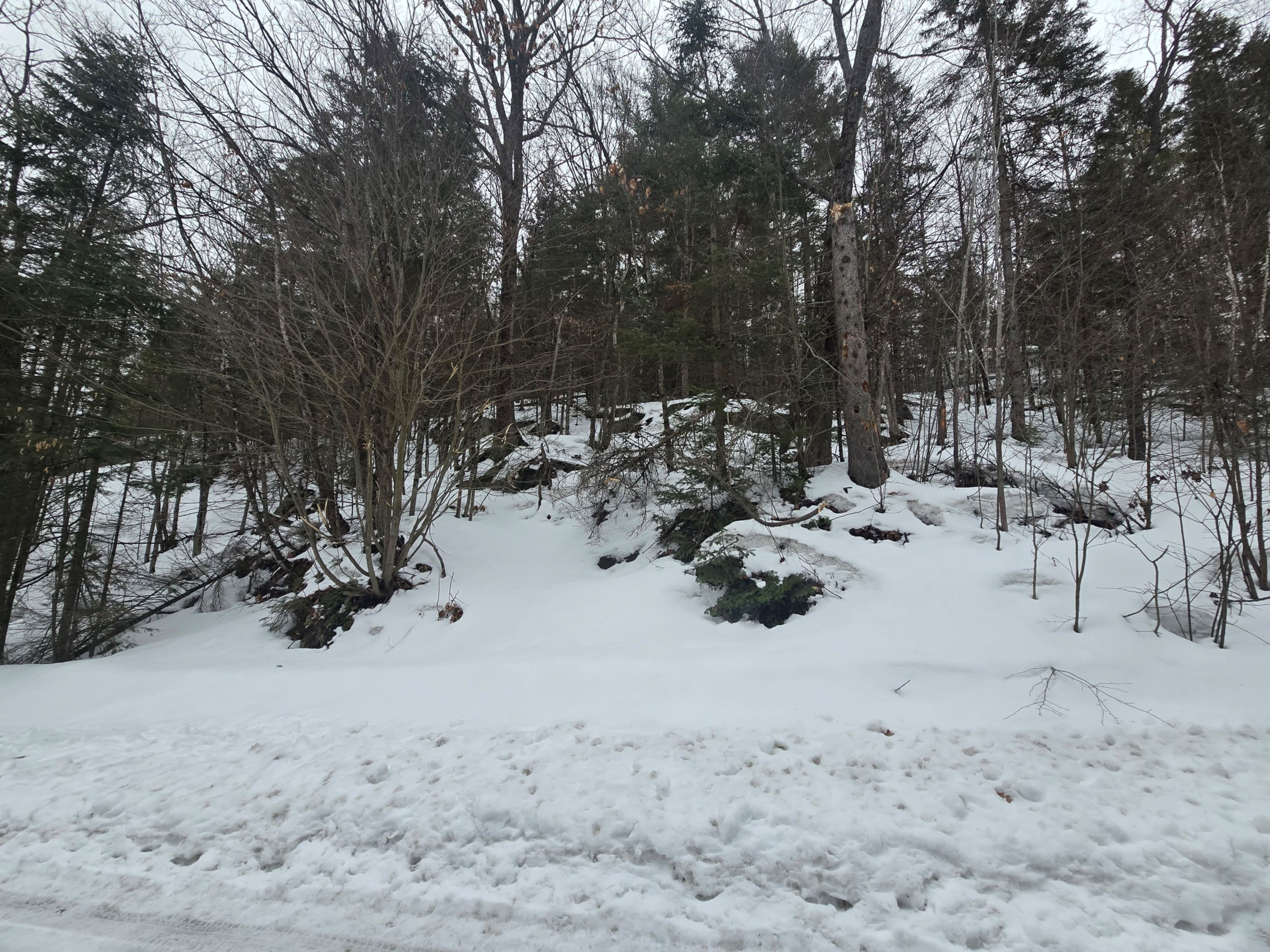 107 Balsam Chutes Road, Huntsville, ON P0B 1L0