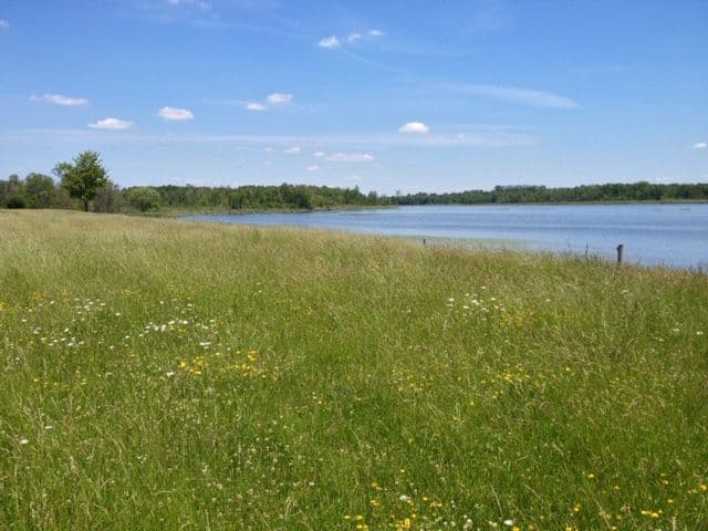 0 N O'Reilly Lane, Kawartha Lakes, ON K0M 2T0