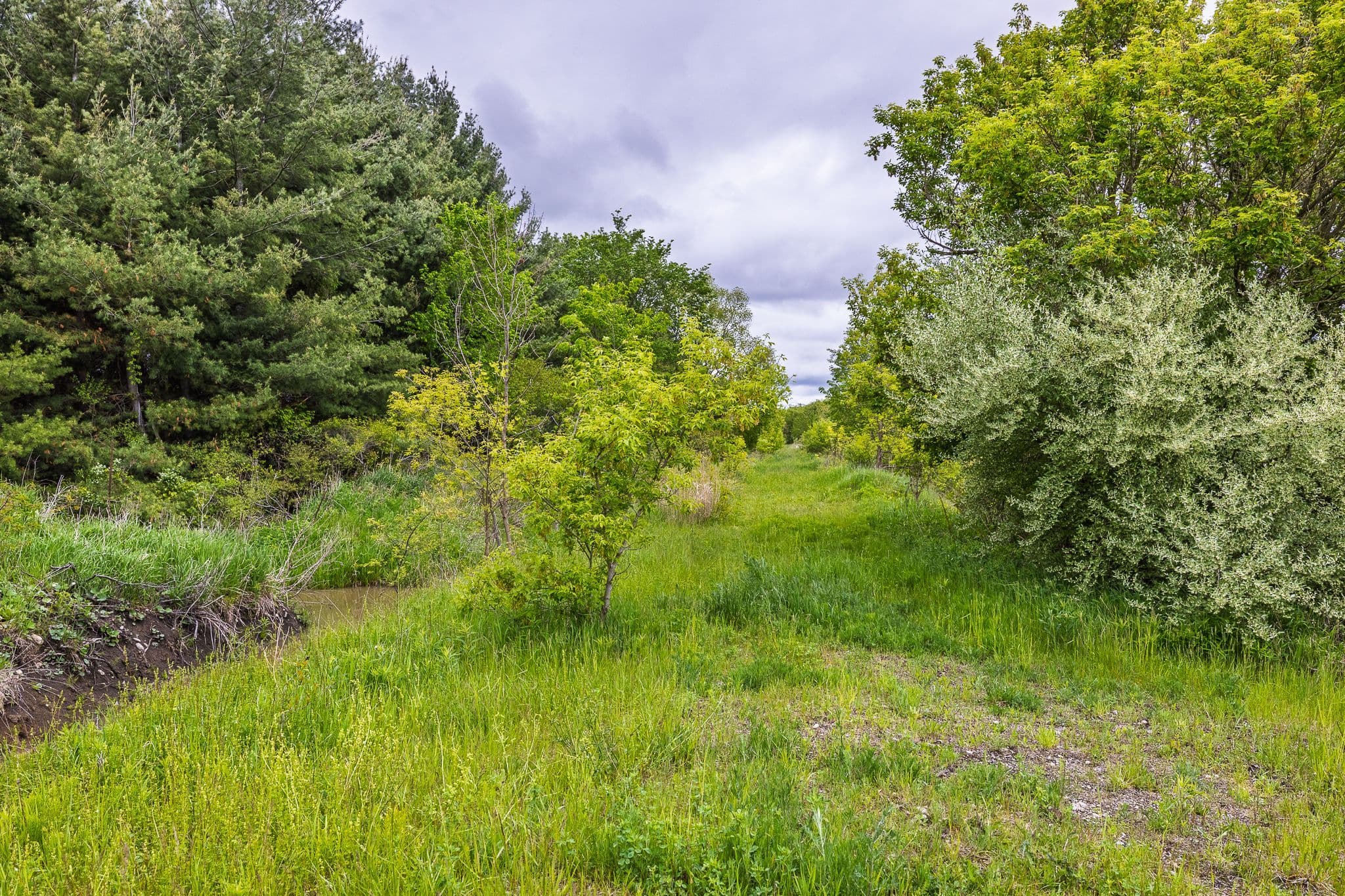 1969 Hutchinson Road, Haldimand, ON N1A 2W2