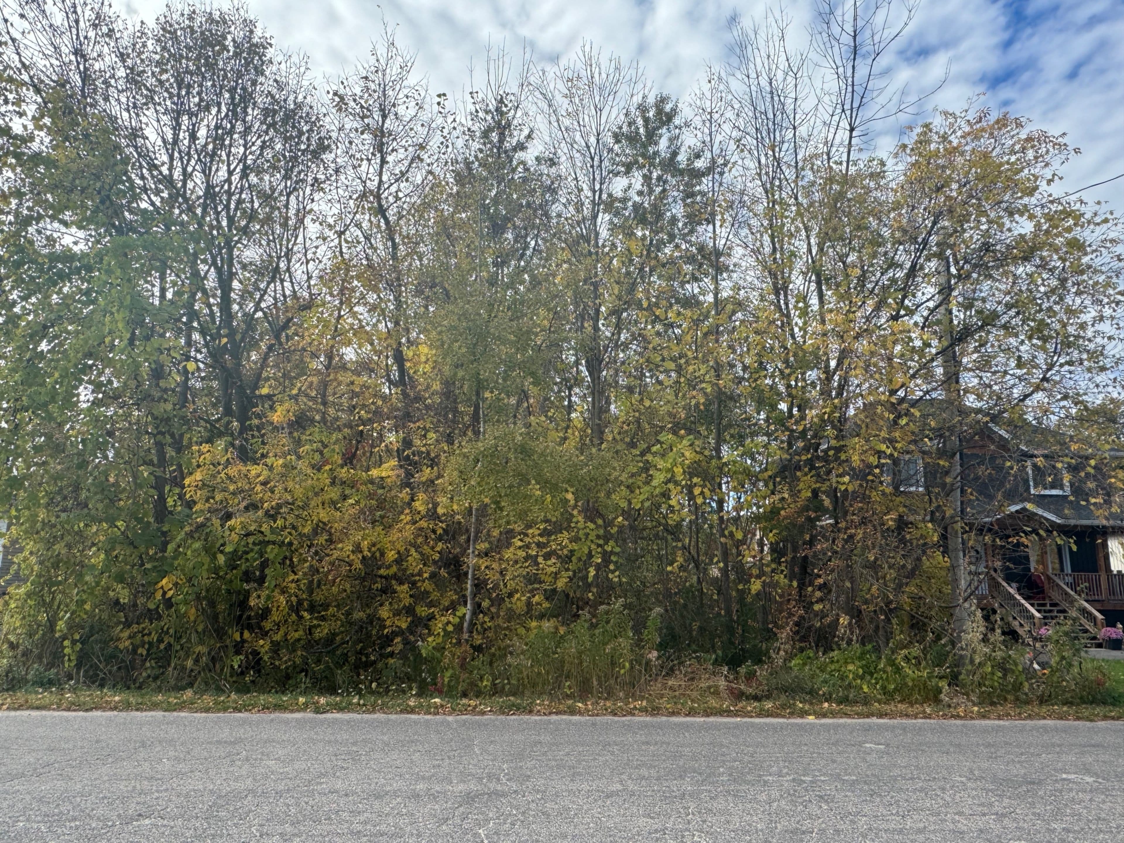 938 Ferrier Avenue, Innisfil, ON L0L 1W0