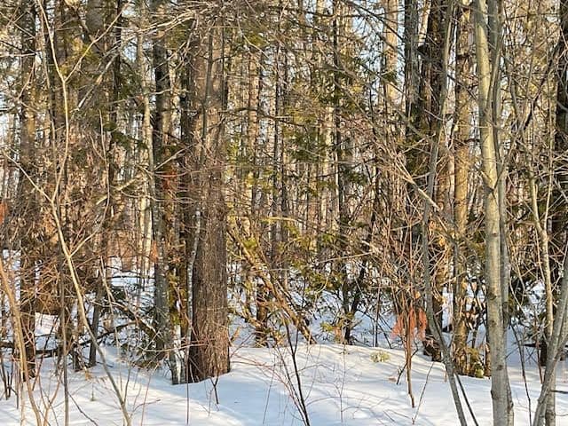 0 Sugarbush Crescent, Trent Lakes, ON K0L 1J0