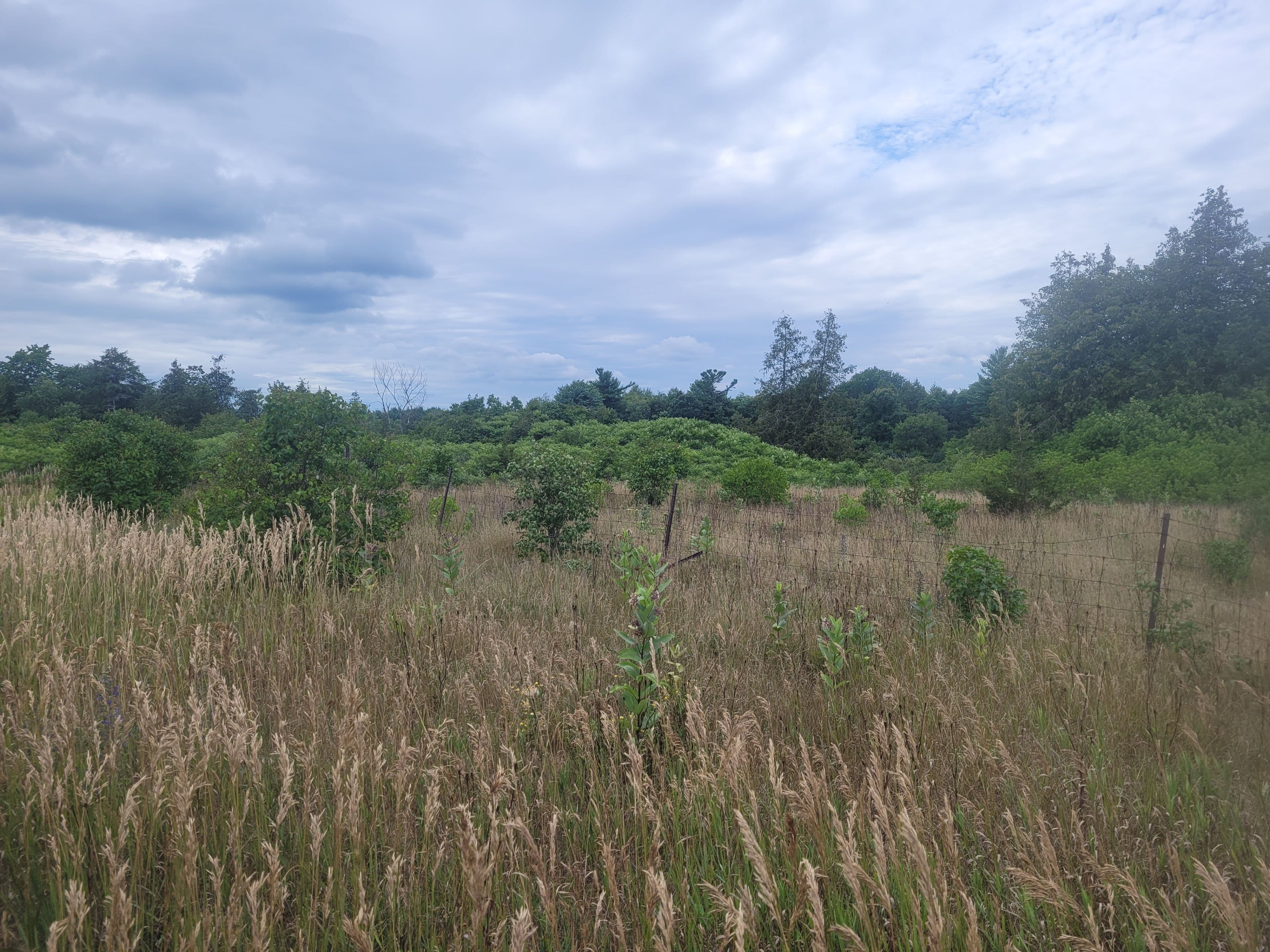 Lt 27 Pt 2 County Rd 10 N/A, Prince Edward County, ON K0K 2T0