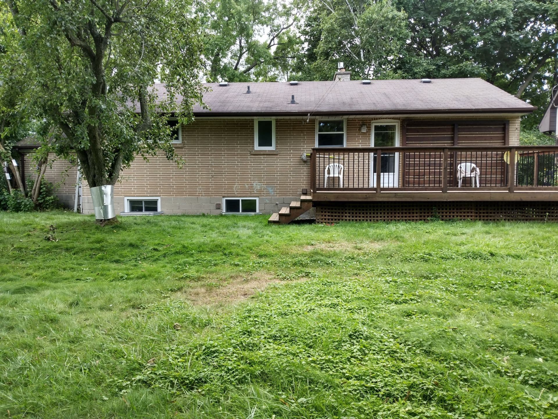 377 East Avenue E Basement, Toronto E10, ON M1C 2W5