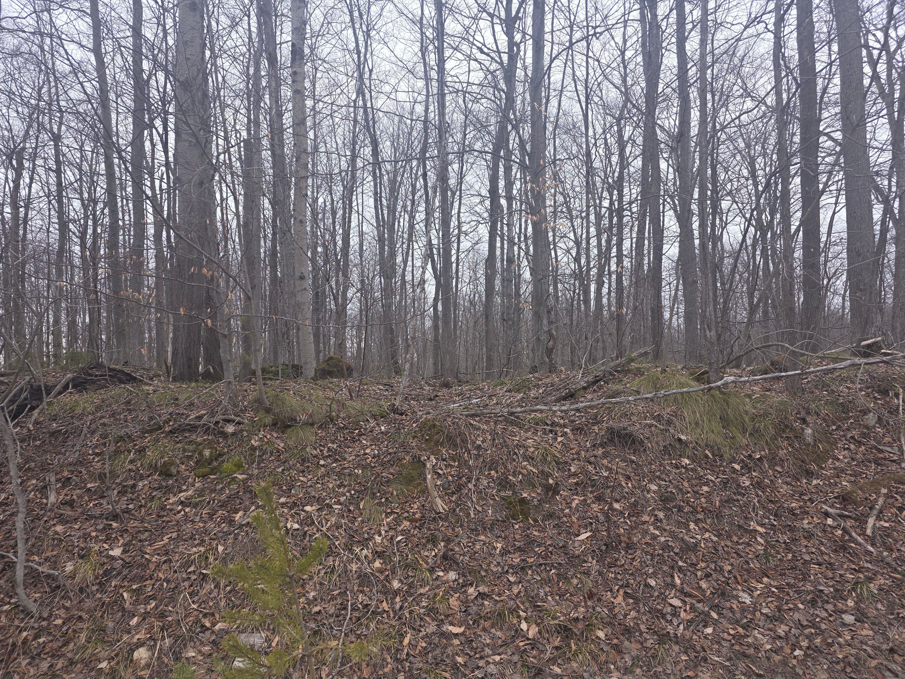 Lot 9 PT LT 25, CON Rd 8 N/A, West Grey, ON N0C 1H0