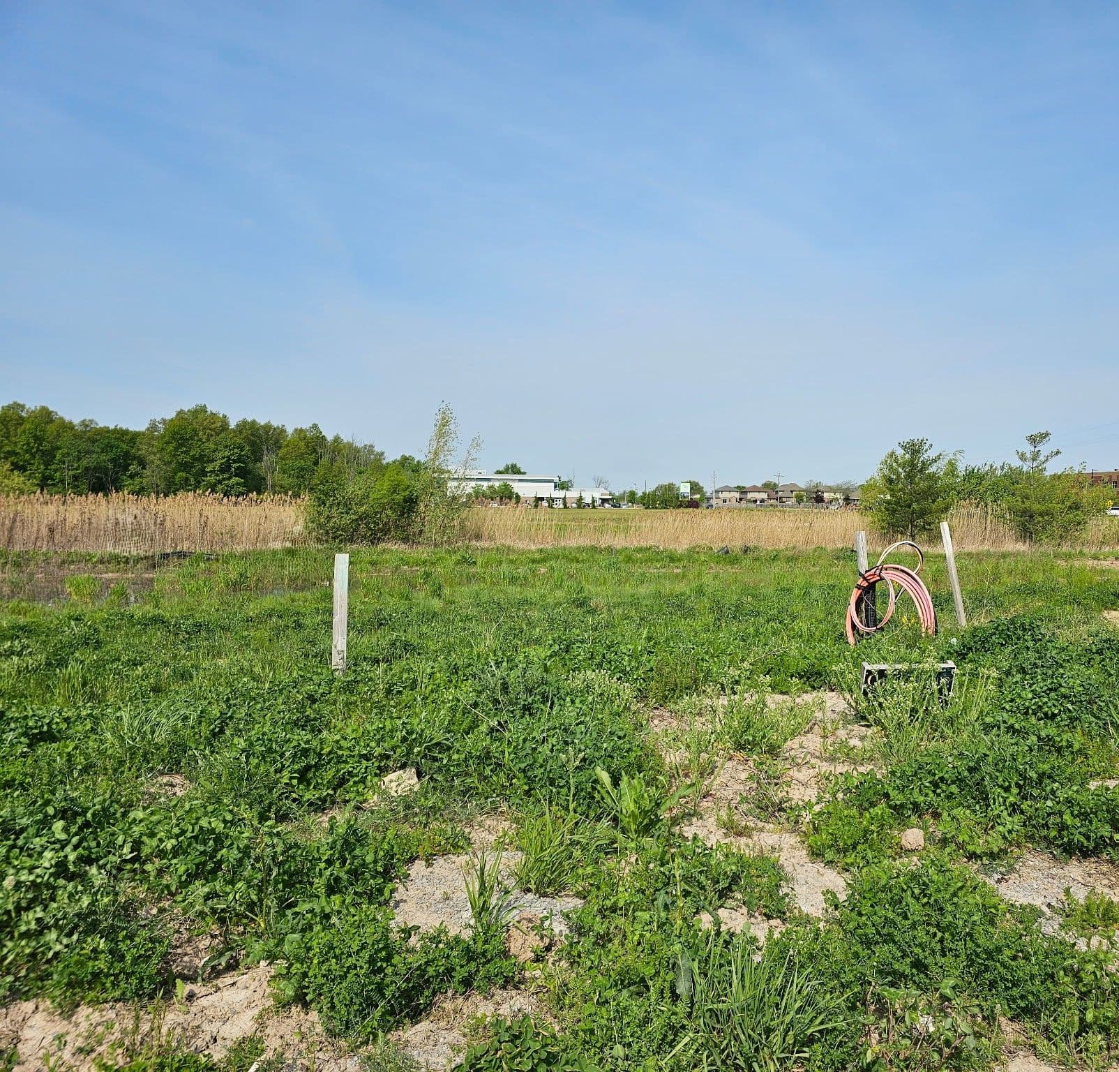 7319 MAJESTIC Trail, Niagara Falls, ON L2H 3V4