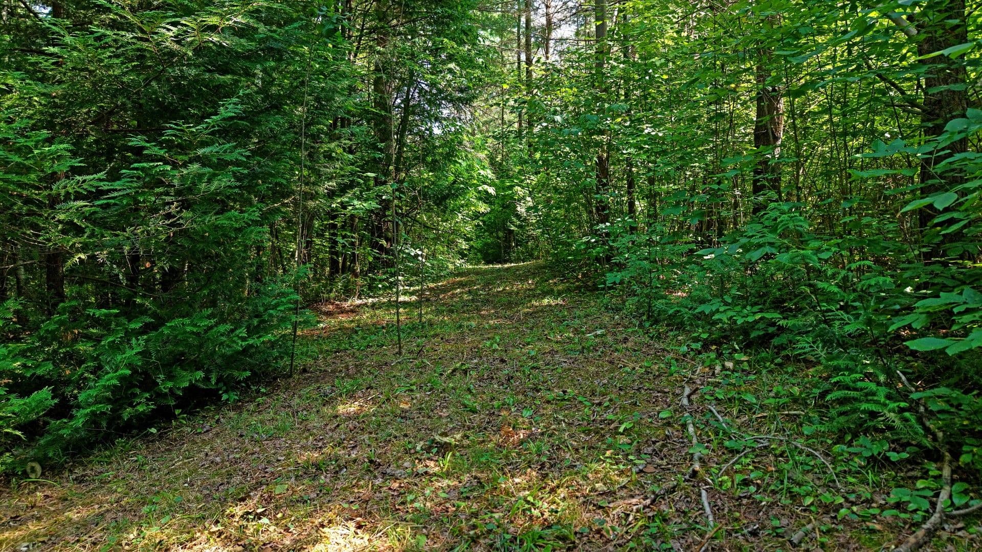 15600 Weston Road, King, ON L7B 0L1