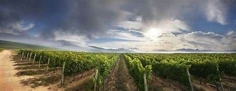 44-55 Niagara Stone Road N, Niagara-on-the-Lake, ON L0S 1J0