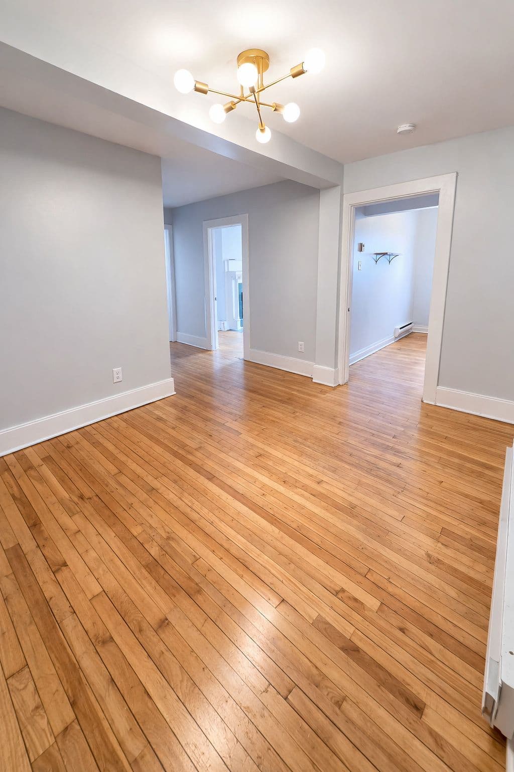 516 Bay Street 1, Ottawa Centre, ON K1R 6B3