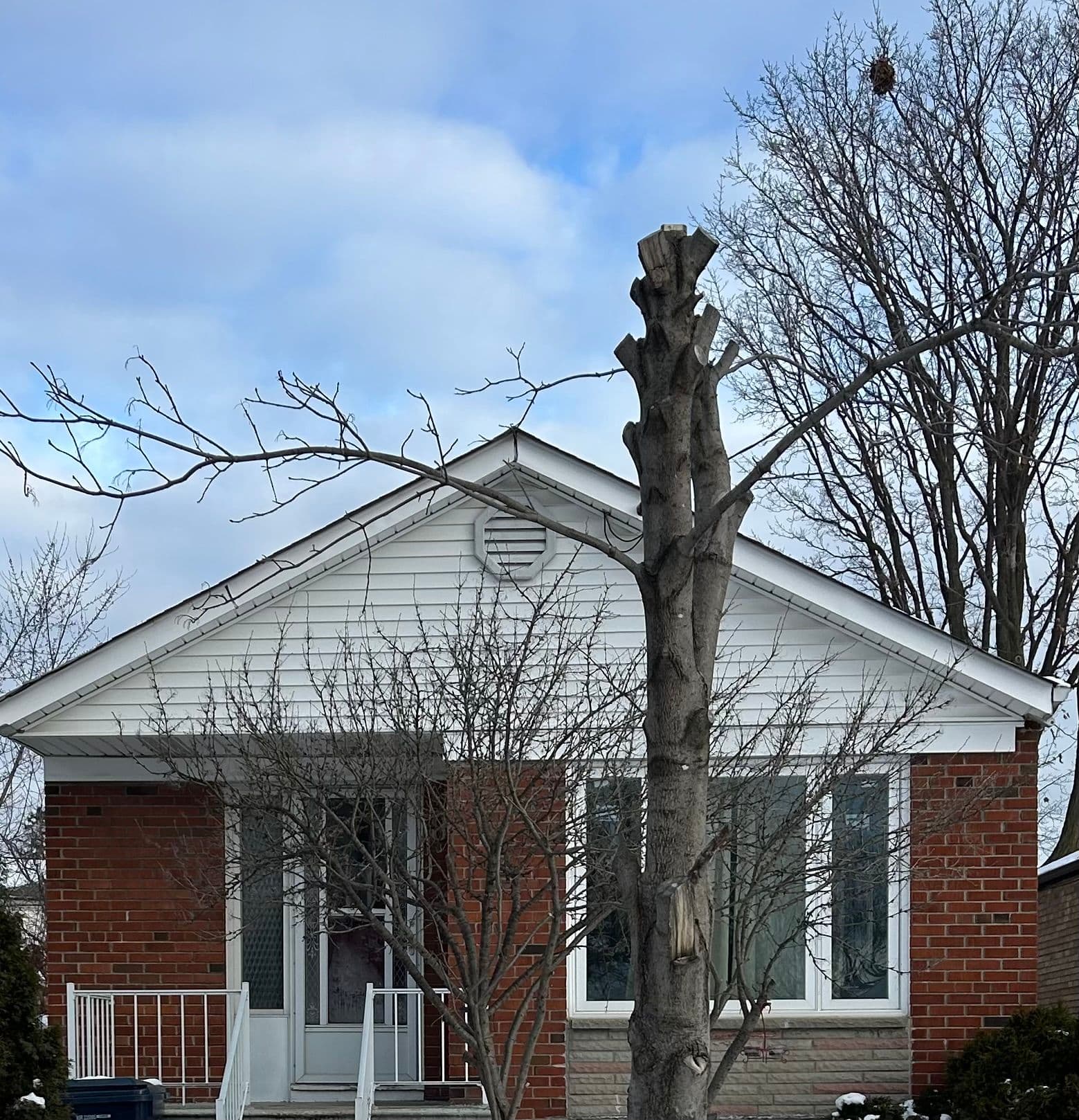 8 Highwood Ave Avenue Basement, Toronto E04, ON M1R 2E4