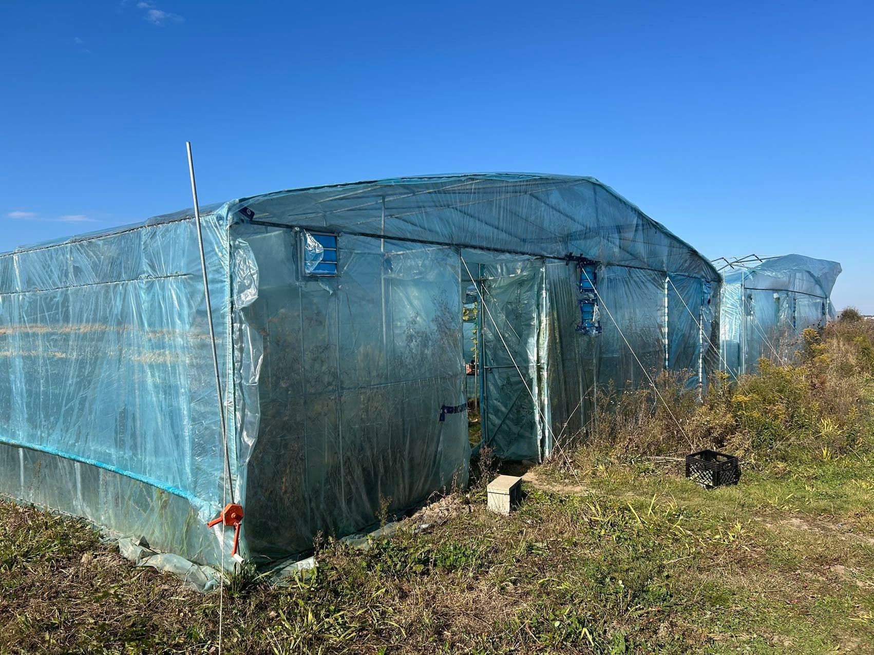 2065B Thorah Concession Rd 4 Road, Brock, ON L0K 1A0