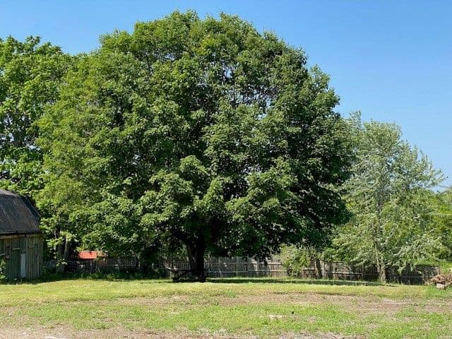 Part #2 Ontario Street, Cramahe, ON K0K 1S0