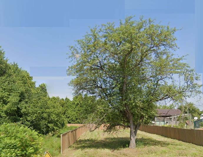 674 Main Street E, Brock, ON L0K 1A0