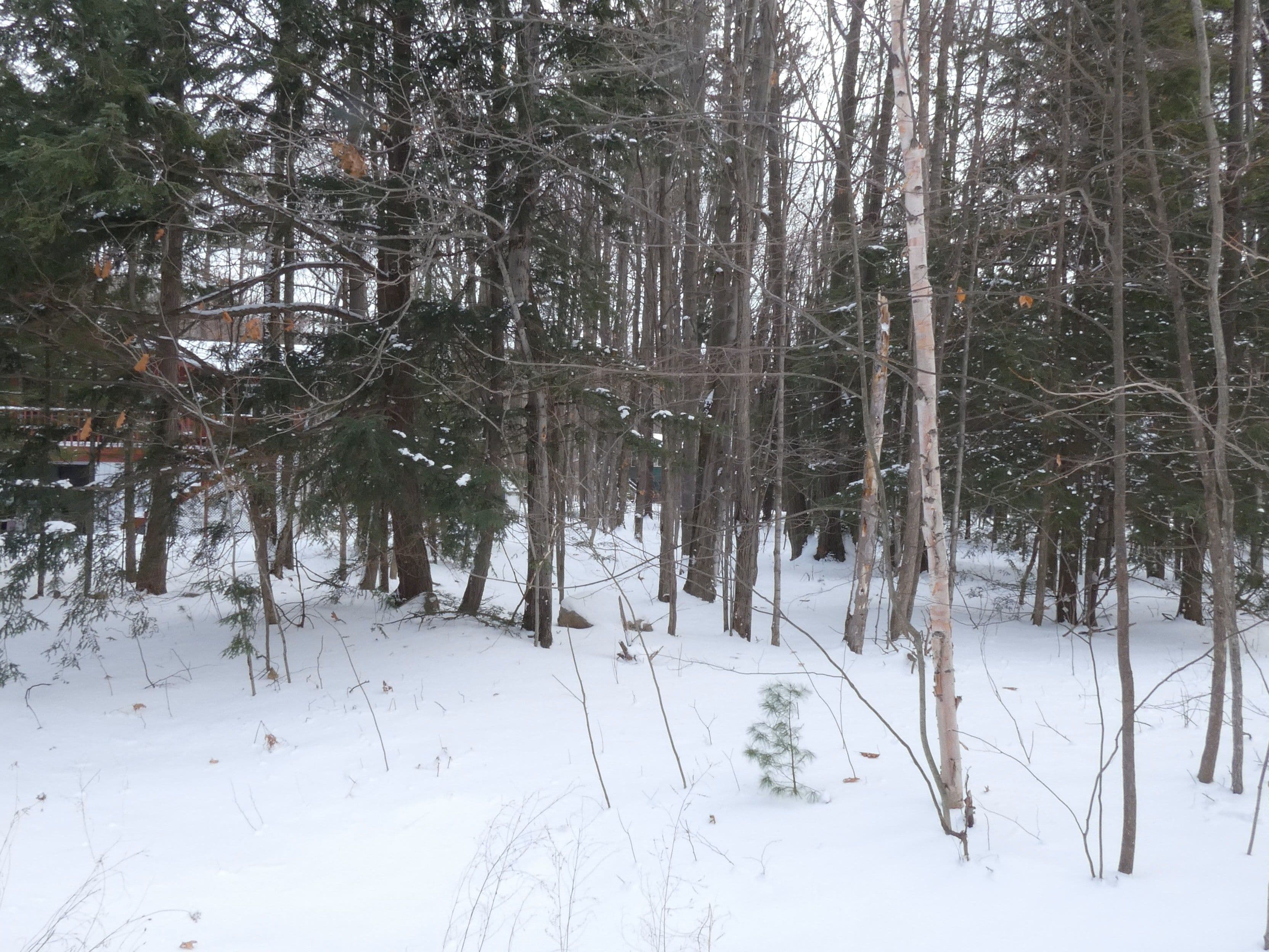 LOT 577 FOREST Circle, Tiny, ON L9M 1R3