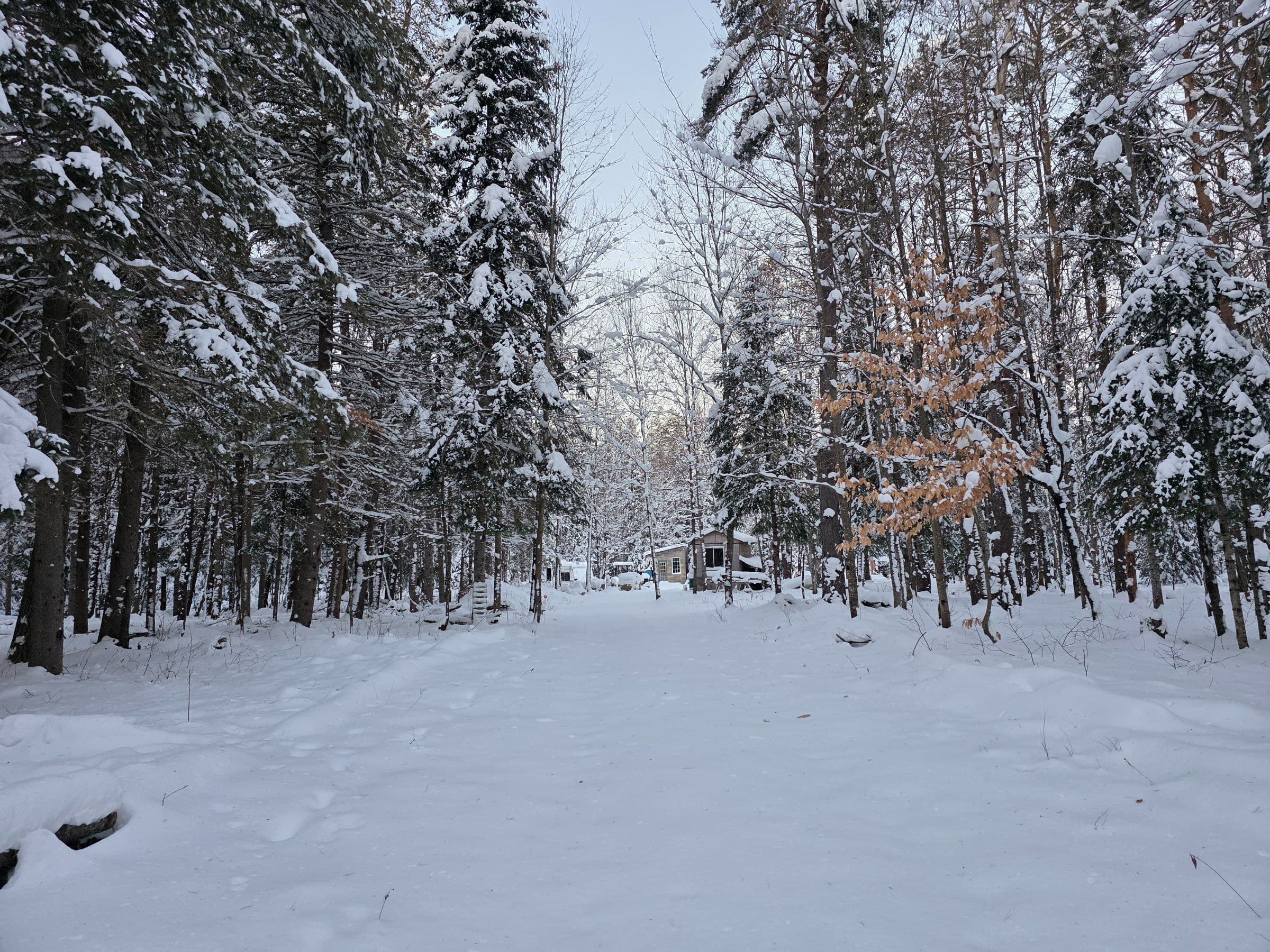 124 Cardwell Lake Road, Huntsville, ON P0B 1M0