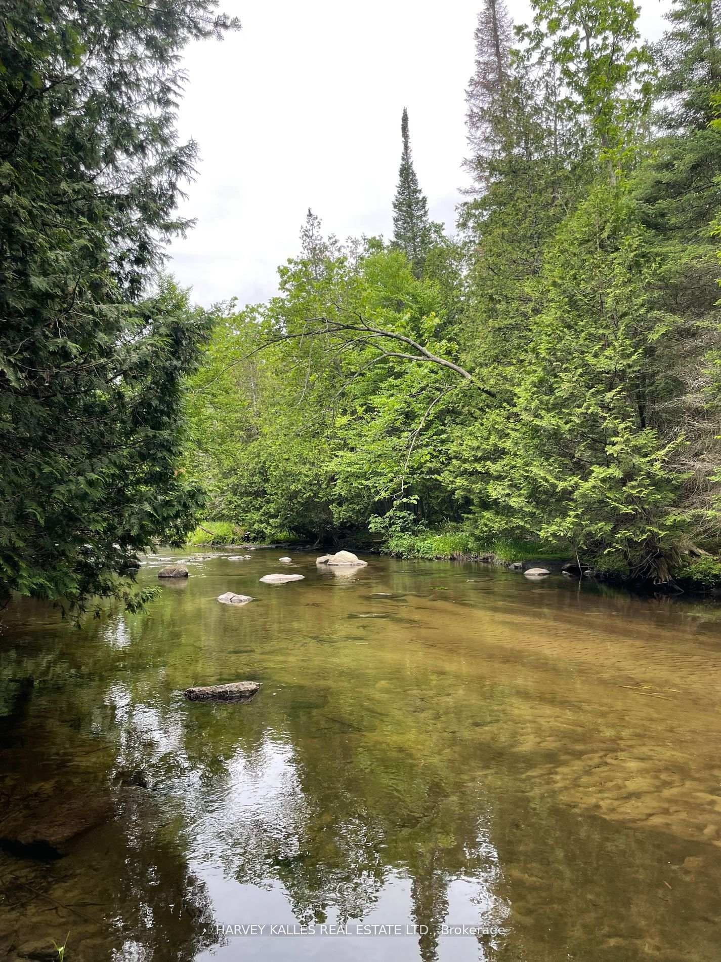 79 Gummow Road, Trent Hills, ON K0K 3K0