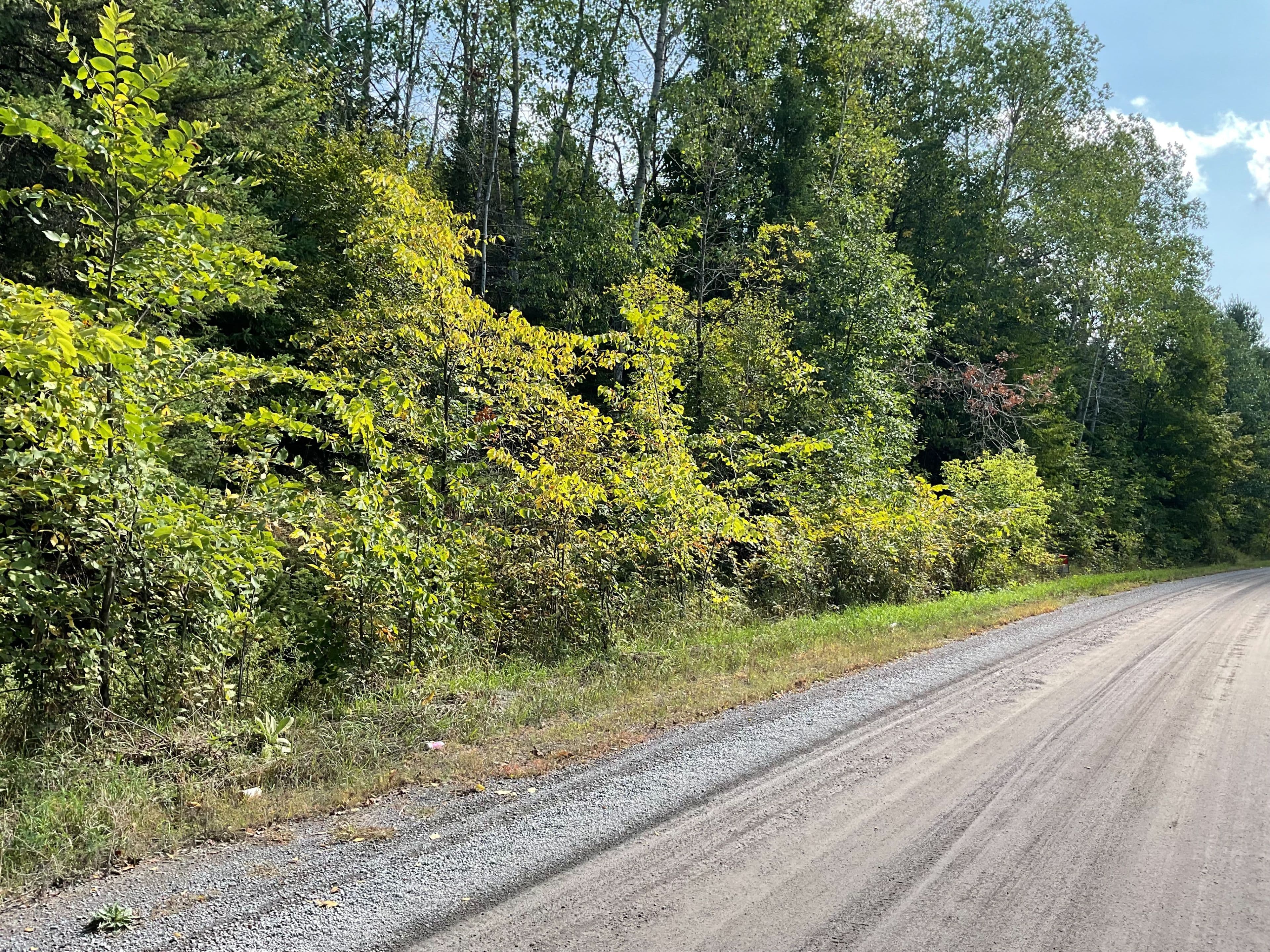 1170 BELLAMY Road, Mississippi Mills, ON K0A 2X0