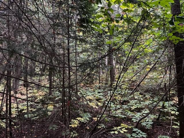 4 SHORE Road, Saugeen Shores, ON N0H 2L0