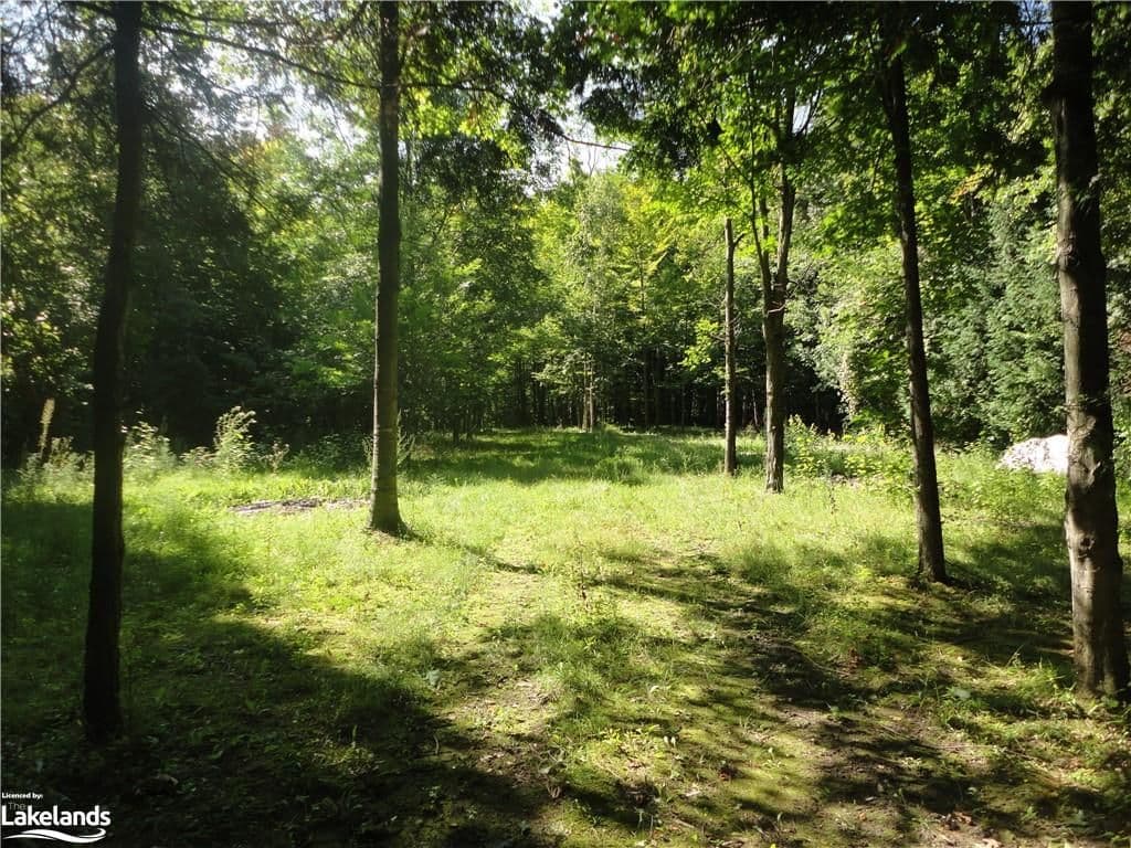 LT 31 MIGHTON Court, Clearview, ON L0M 1S0