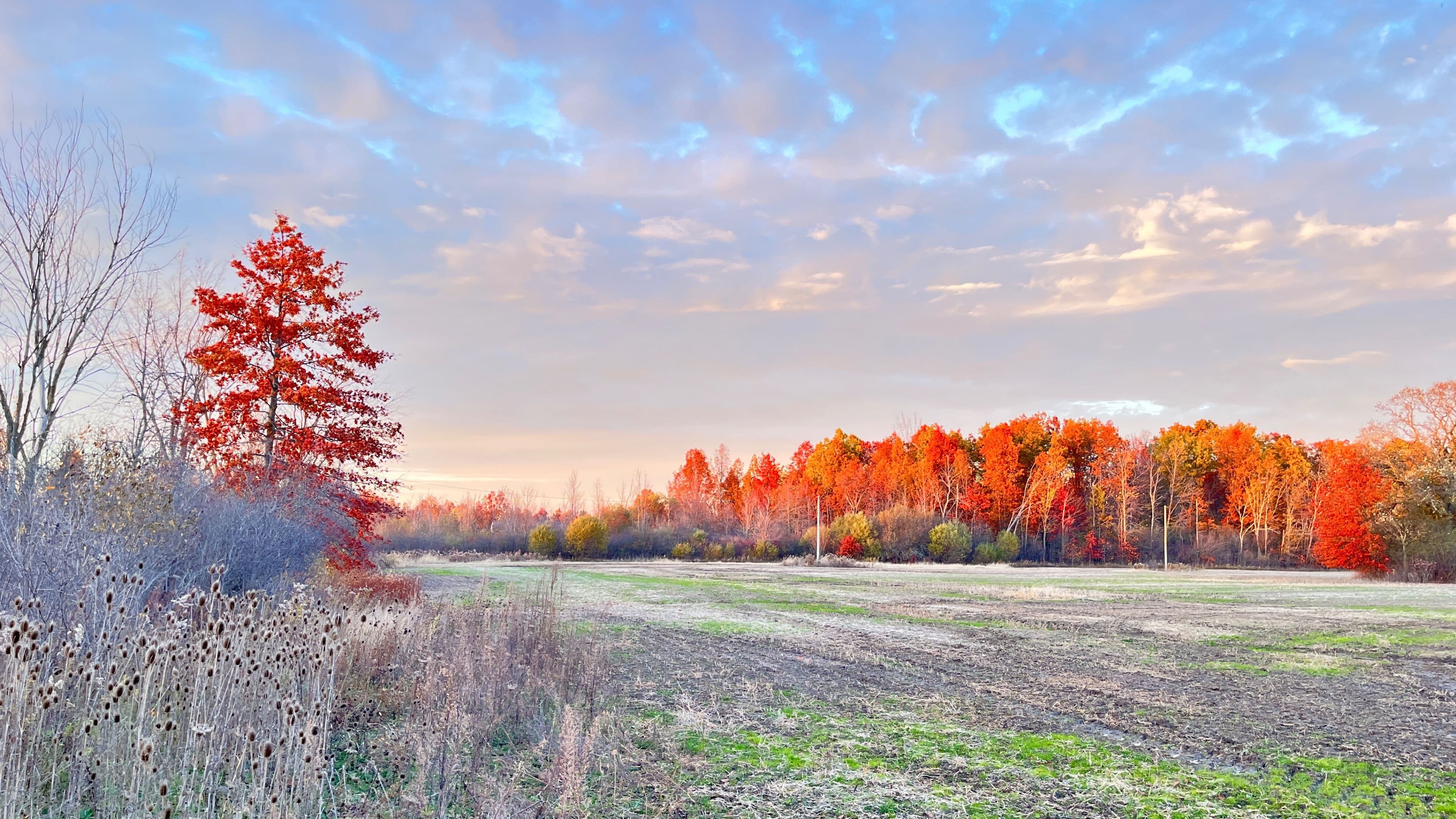 12880 Ort Road, Niagara Falls, ON L0S 1K0