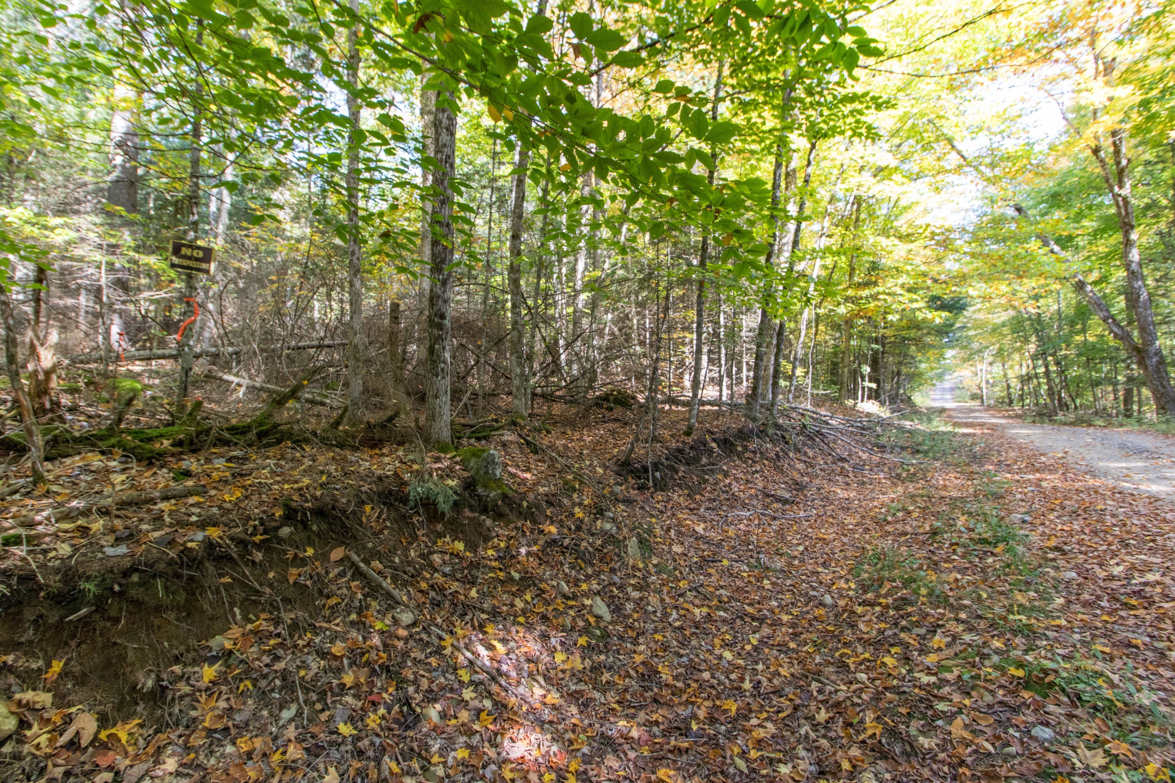 0 Lynx Lake Road, Huntsville, ON P1H 2J3