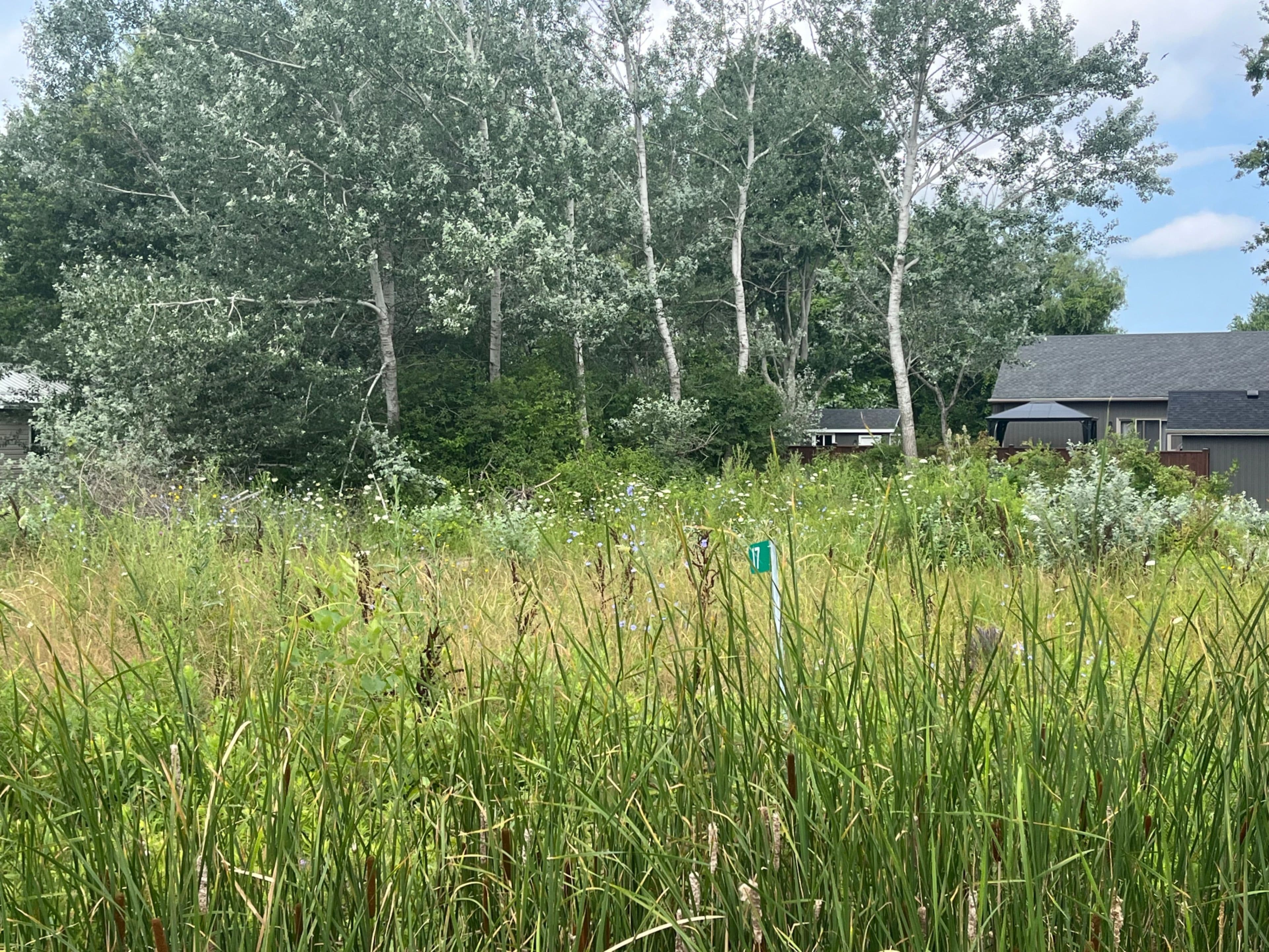 17 Dickhout Road, Haldimand, ON N0A 1K0