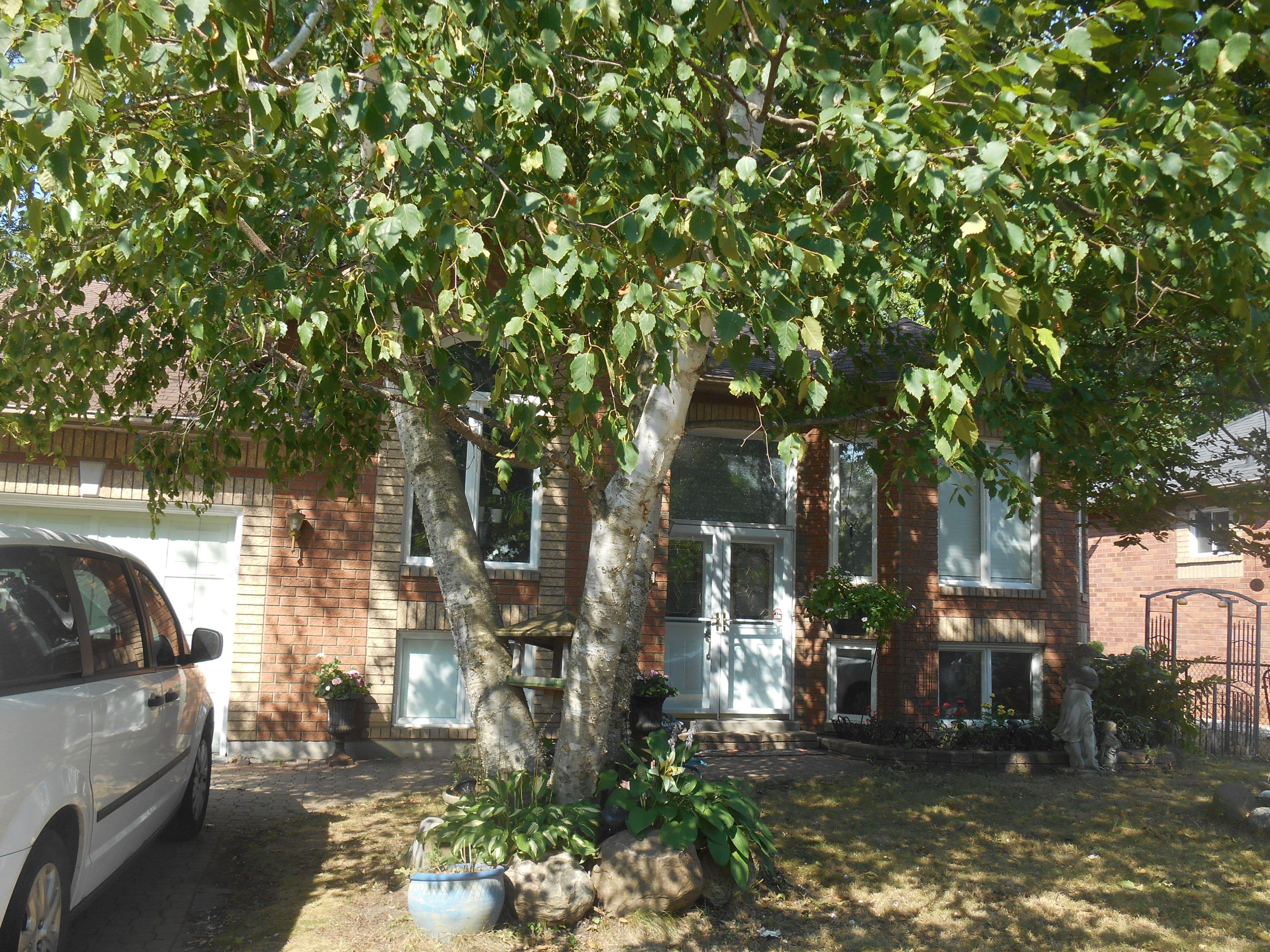 22 Brillinger Drive, Wasaga Beach, ON L9Z 1L4