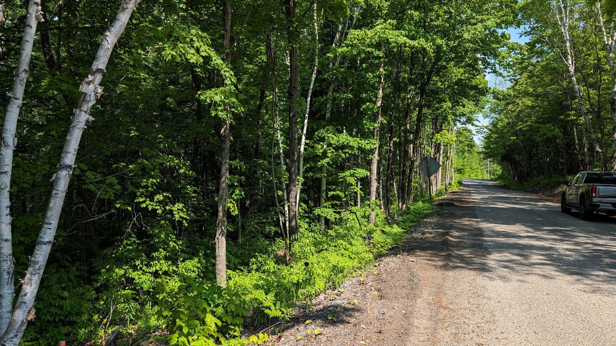 Lot 1 Tally-Ho Winter Park Road, Lake of Bays, ON P1H 2E8