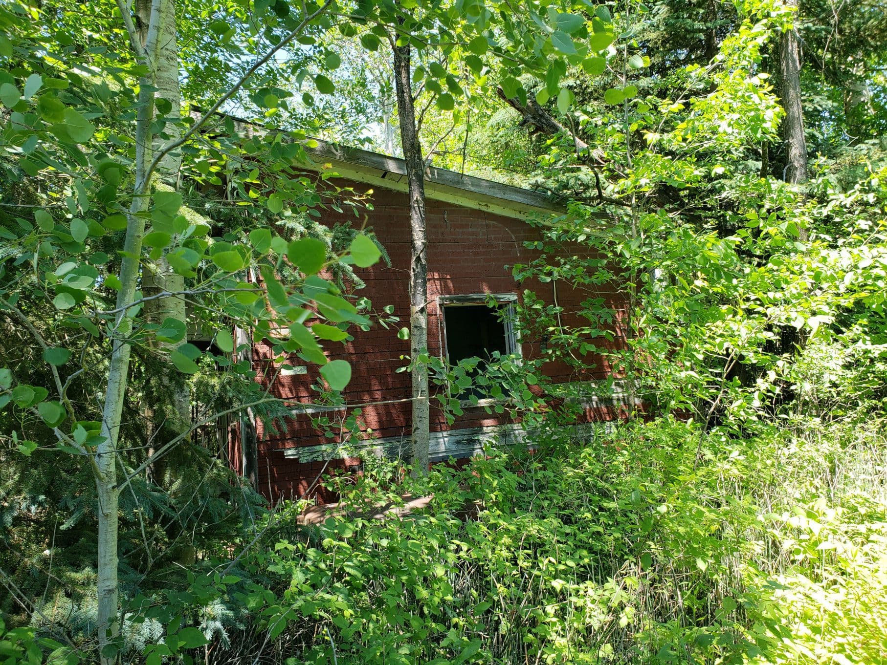 15572 Highway 17 N/A, Whitewater Region, ON K0J 1Y0