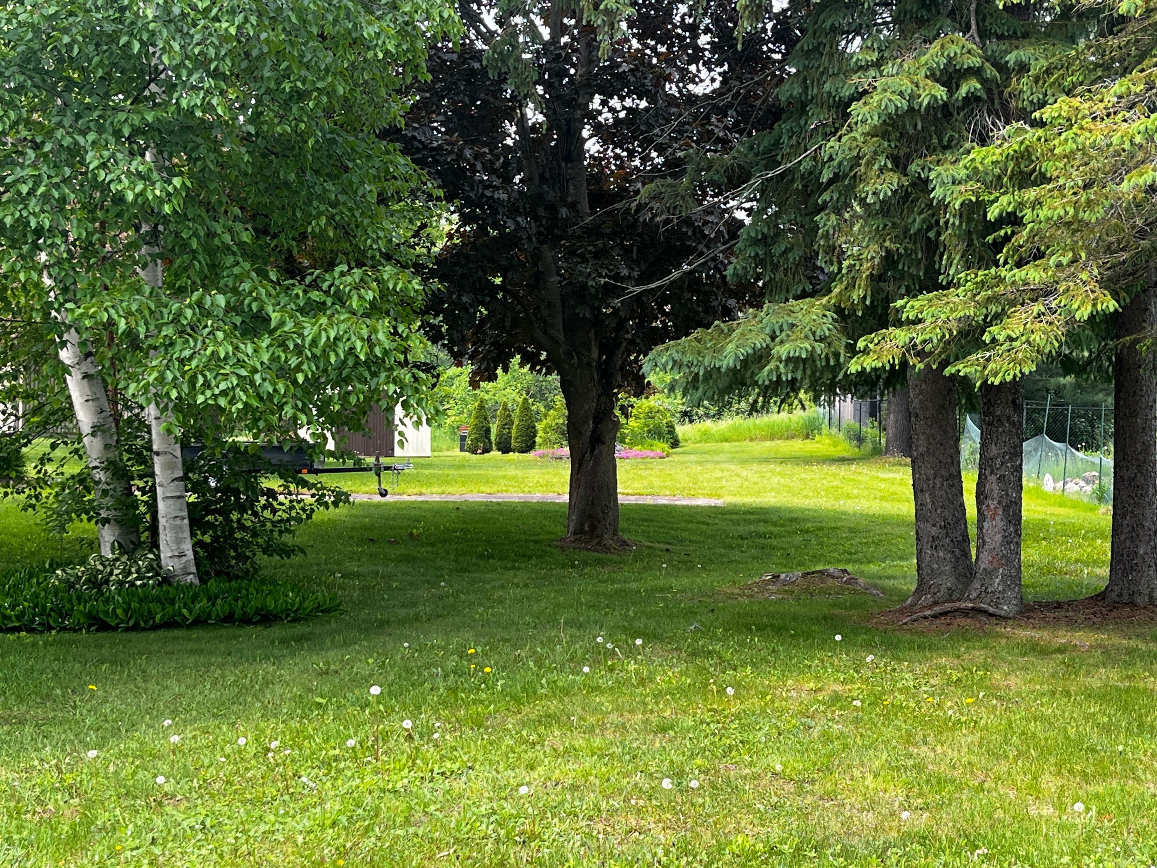 0 Ross Street, Whitewater Region, ON K0J 1K0