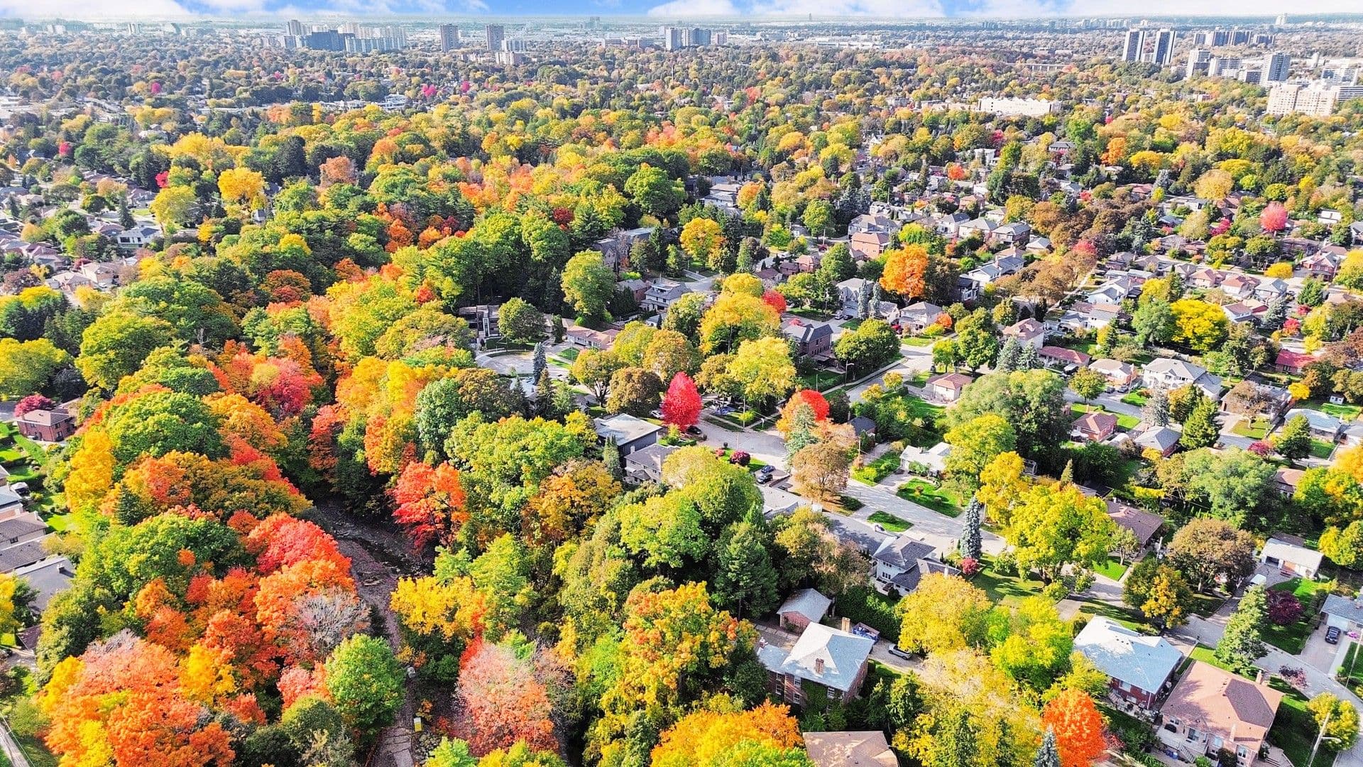 35 La Rush Drive, Toronto W09, ON M9P 1S8