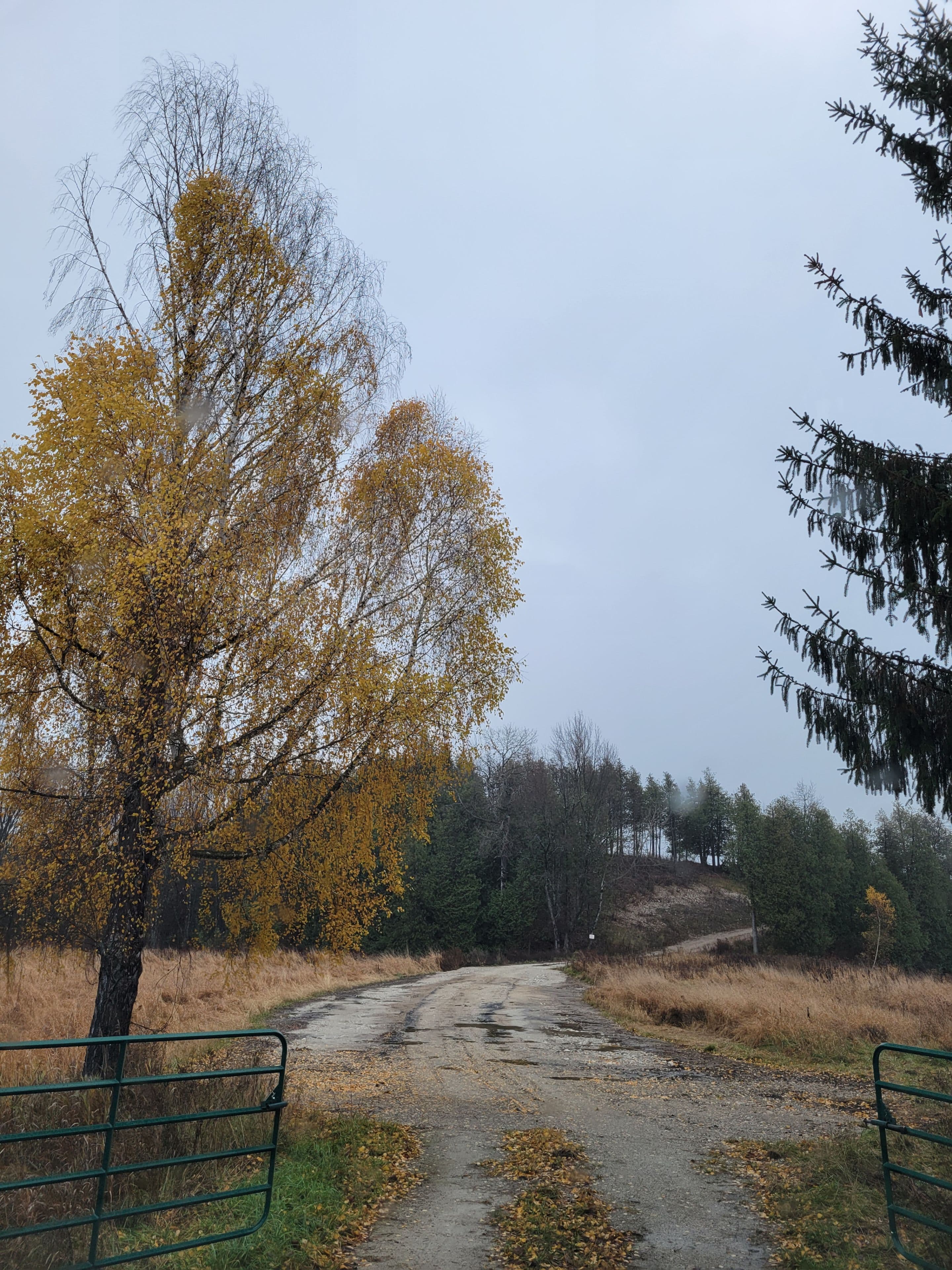 Lot 37 Con 2 NDR N/A, West Grey, ON N4N 3B9