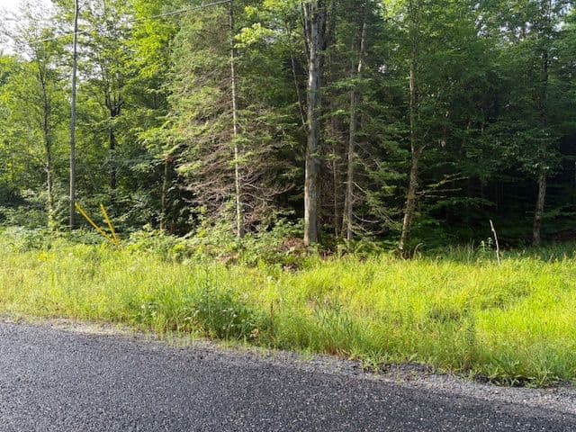 48 Summer Leigh Trail, Huntsville, ON P0B 1M0