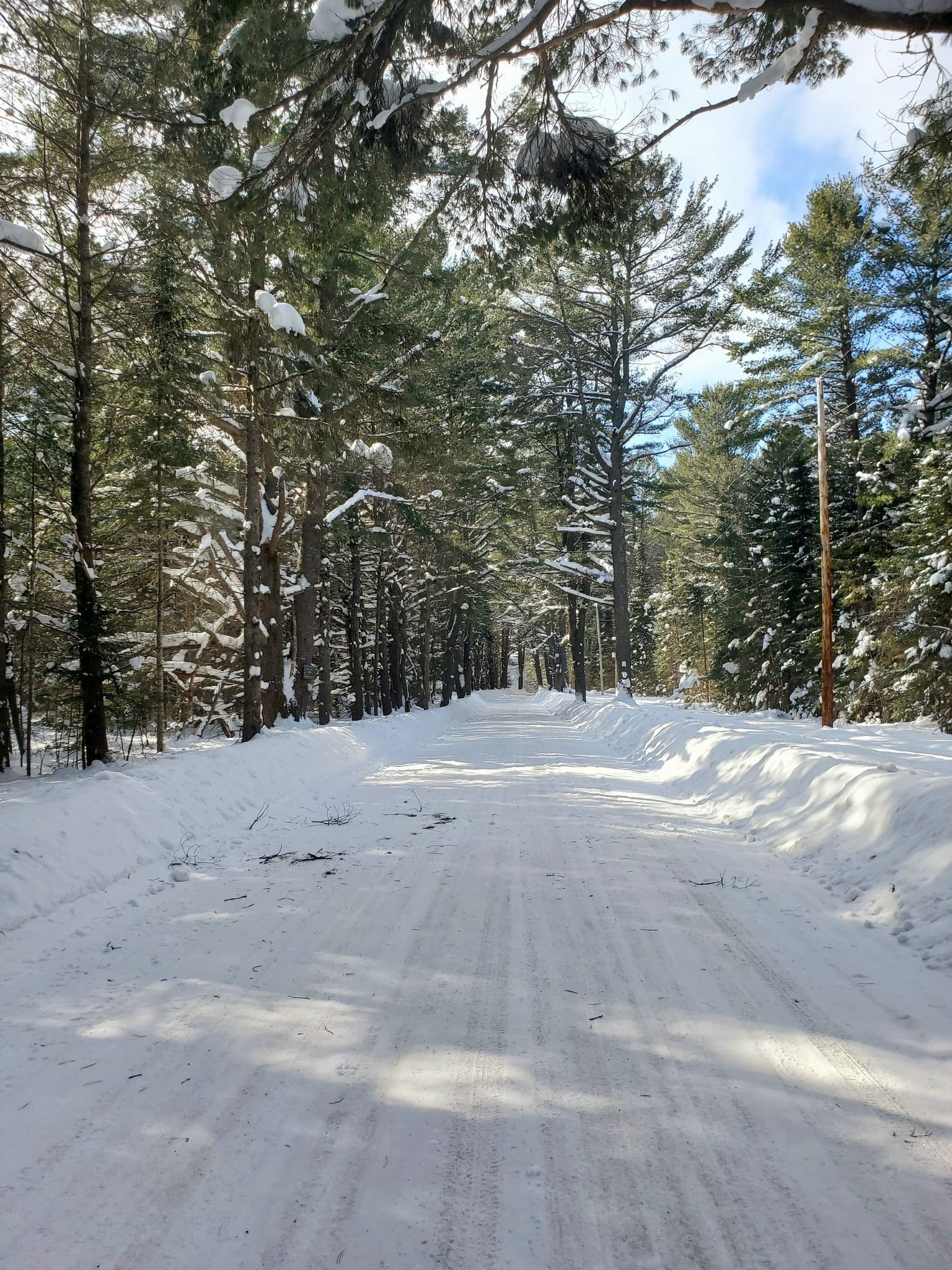 0 CARDWELL LAKE Road, Huntsville, ON P0B 1M0