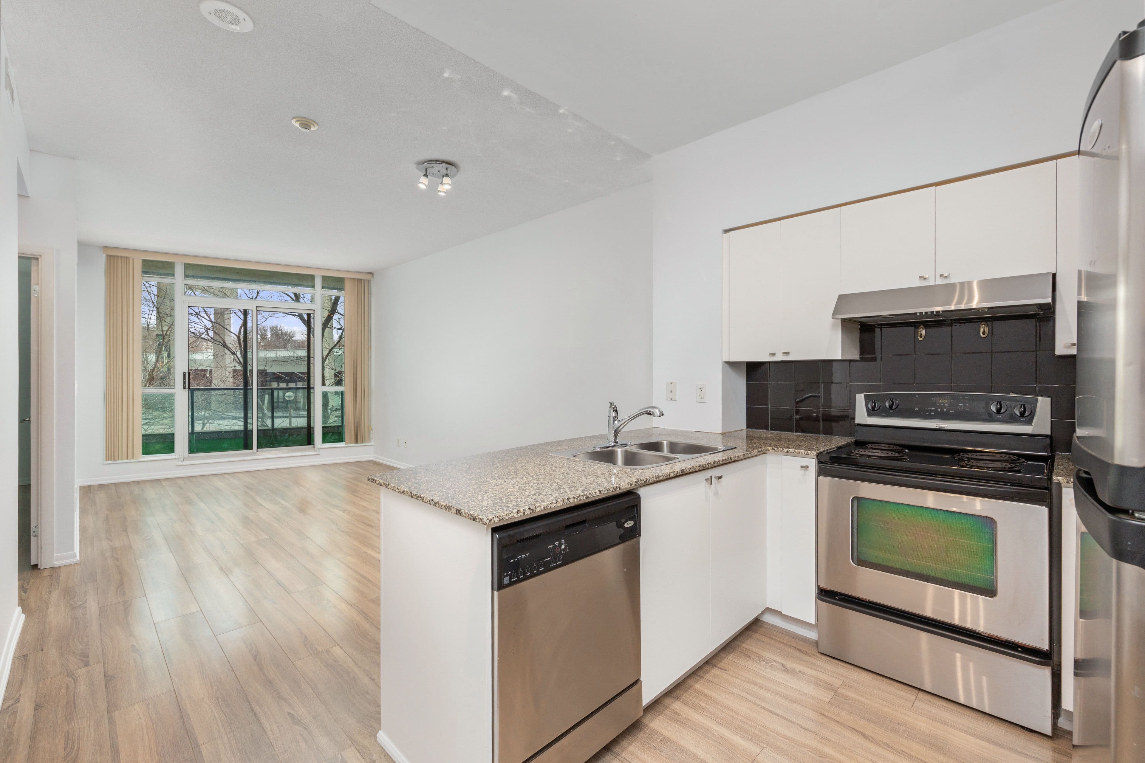 231 Fort York Boulevard 223, Toronto C01, ON M5V 1B2