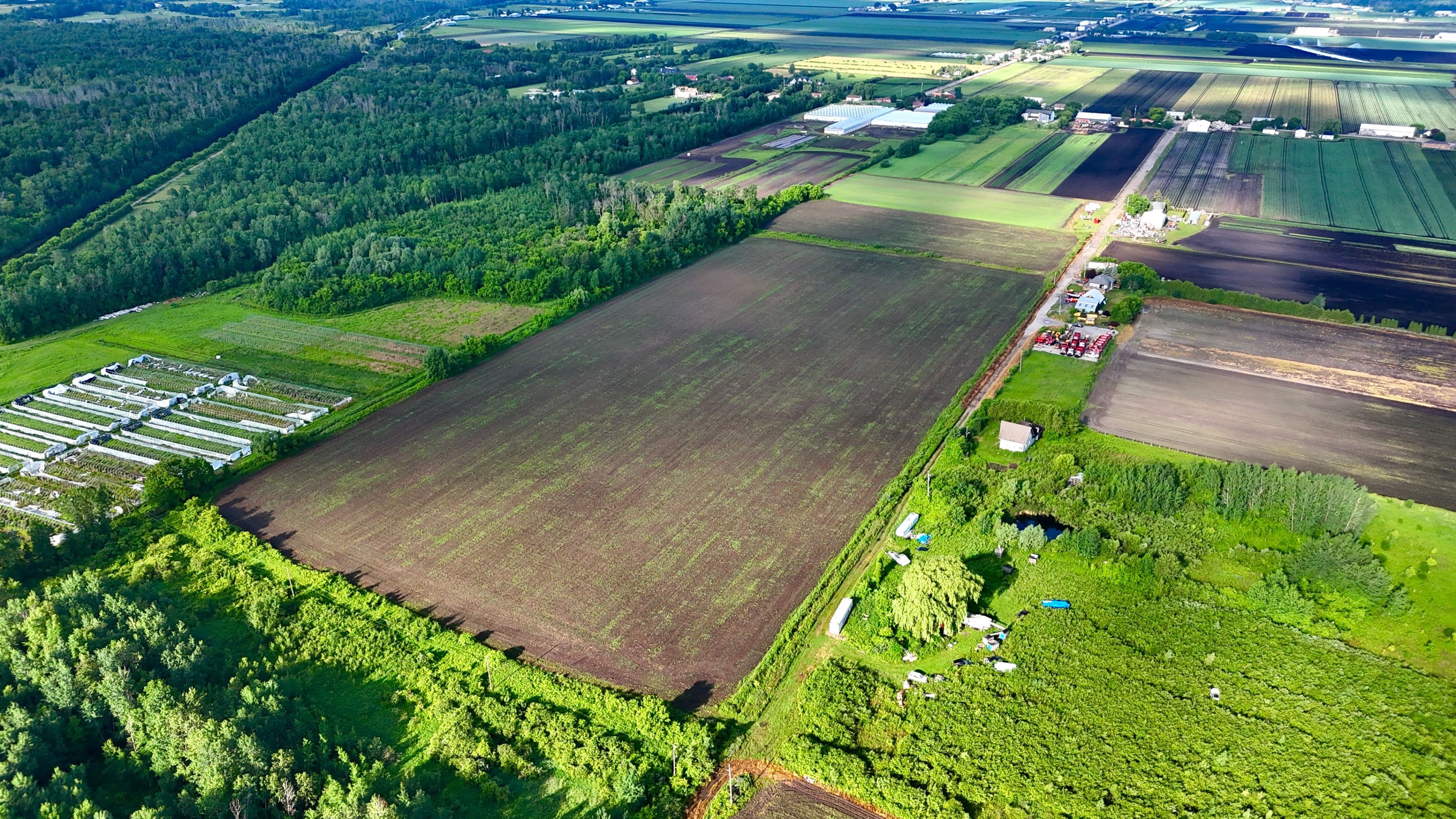 325 Lipchey Road, King, ON L3Y 4V9