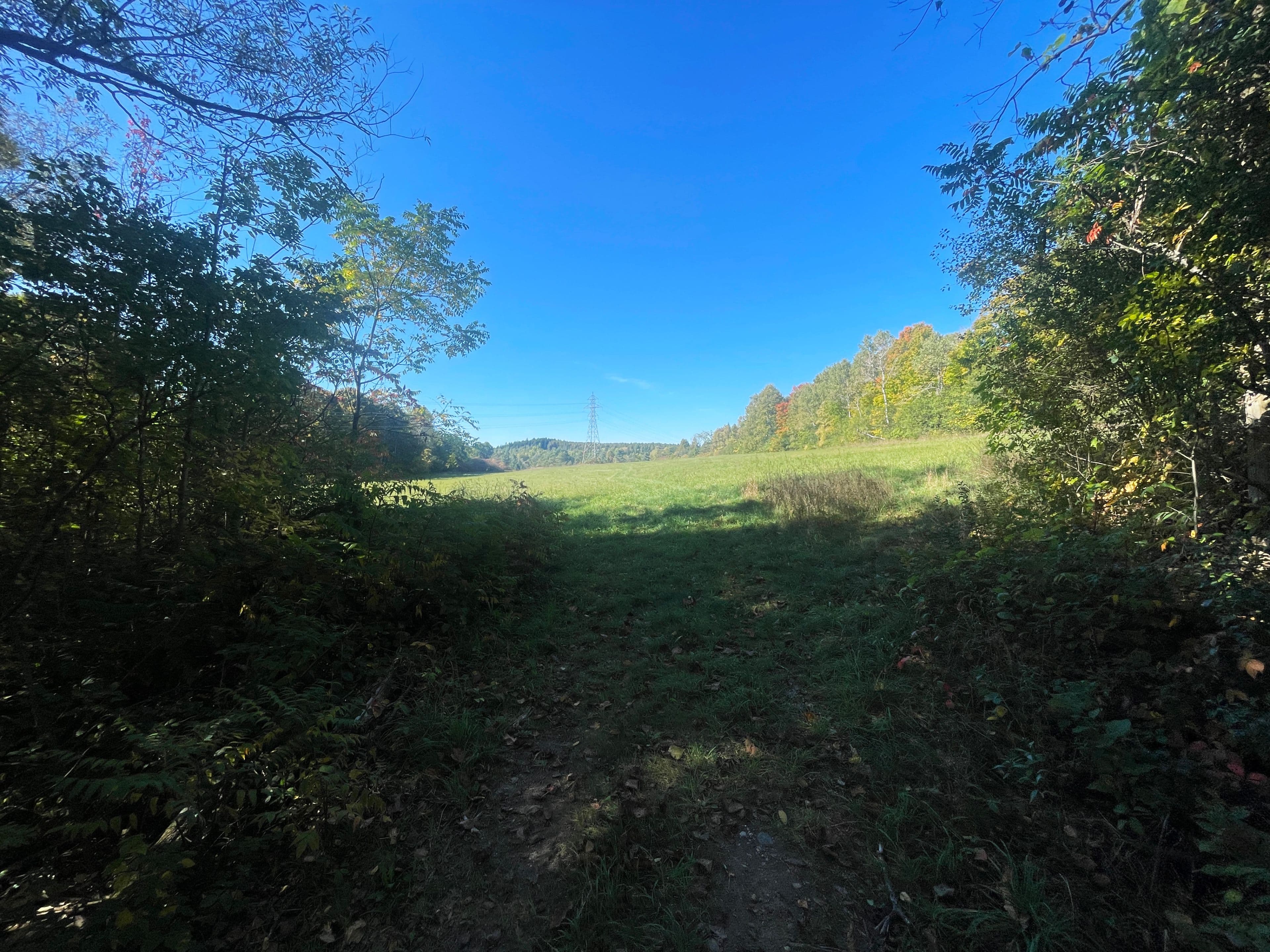 00 Jamieson Road N Lot C, Port Hope, ON L1A 3V8