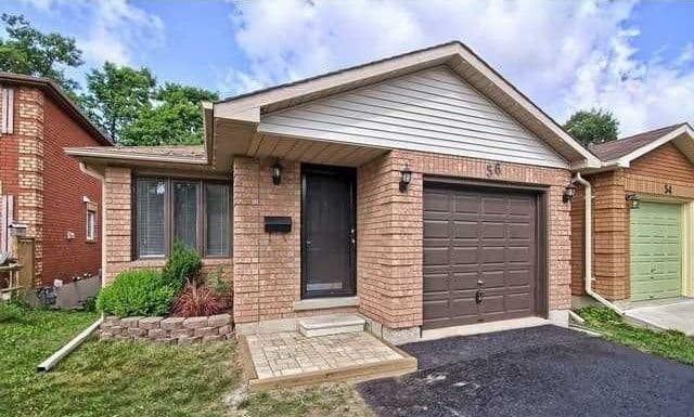56 Ferguson Drive, Barrie, ON L4N 7B5