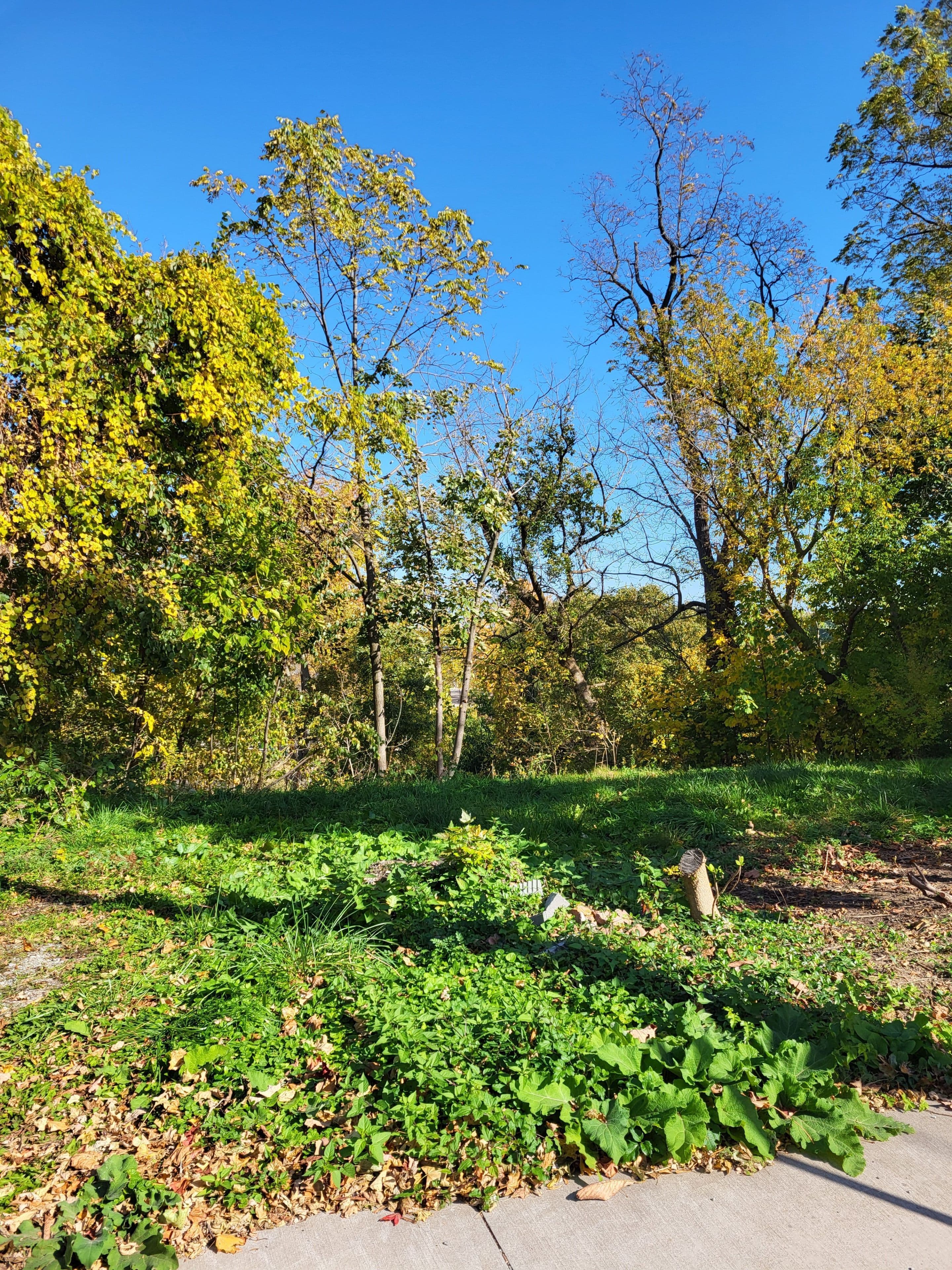 42 LOCK Street, St. Catharines, ON L2N 5B7