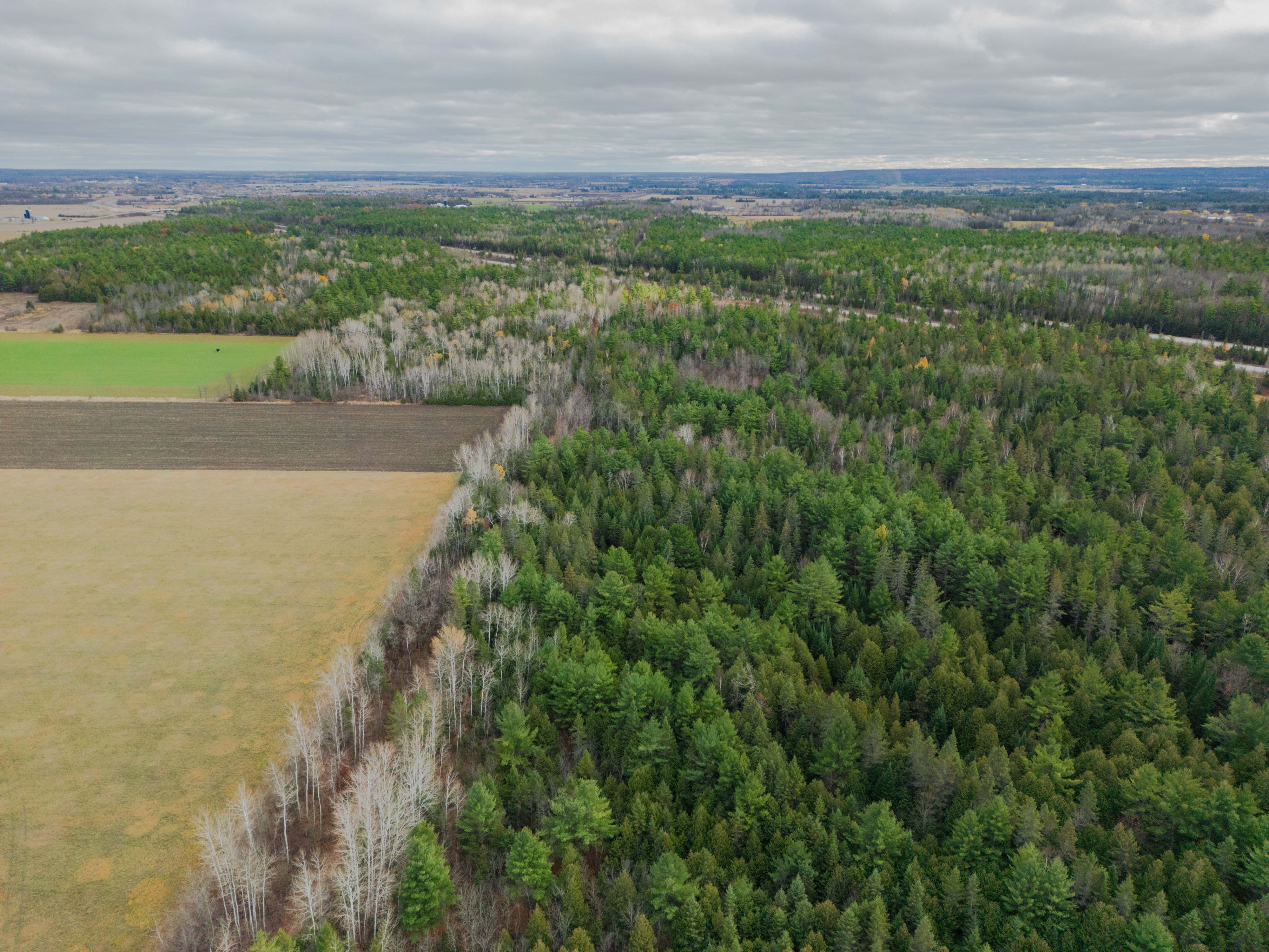 00 Scheel Drive, McNab/Braeside, ON K7S 3G8