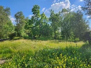 56 DUNDALK Street, Southgate, ON N0C 1B0