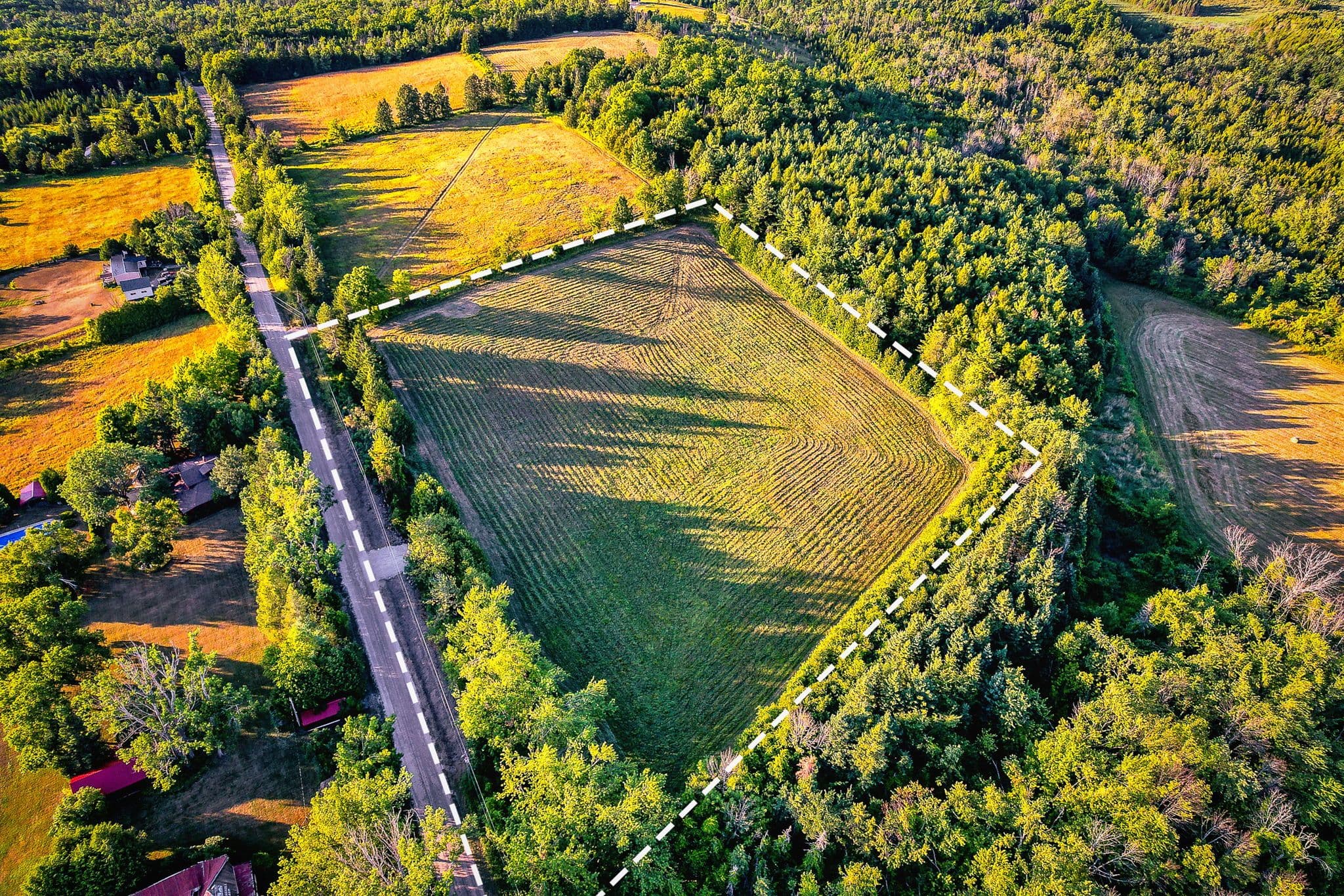 41 Silver Heights Drive, Trent Hills, ON K1L 1Y0