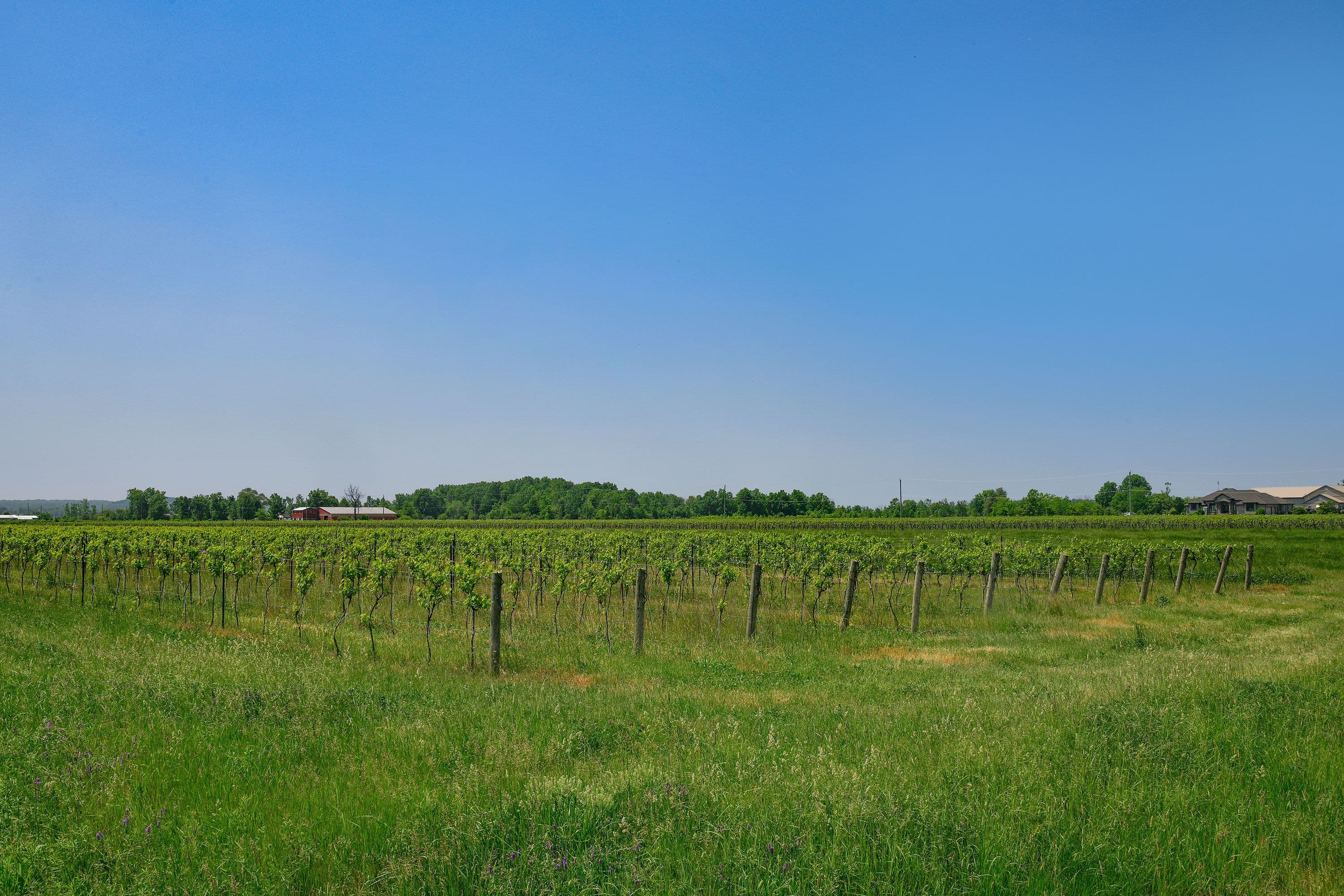 497 Line 5 Road S, Niagara-on-the-Lake, ON L0S 1T0